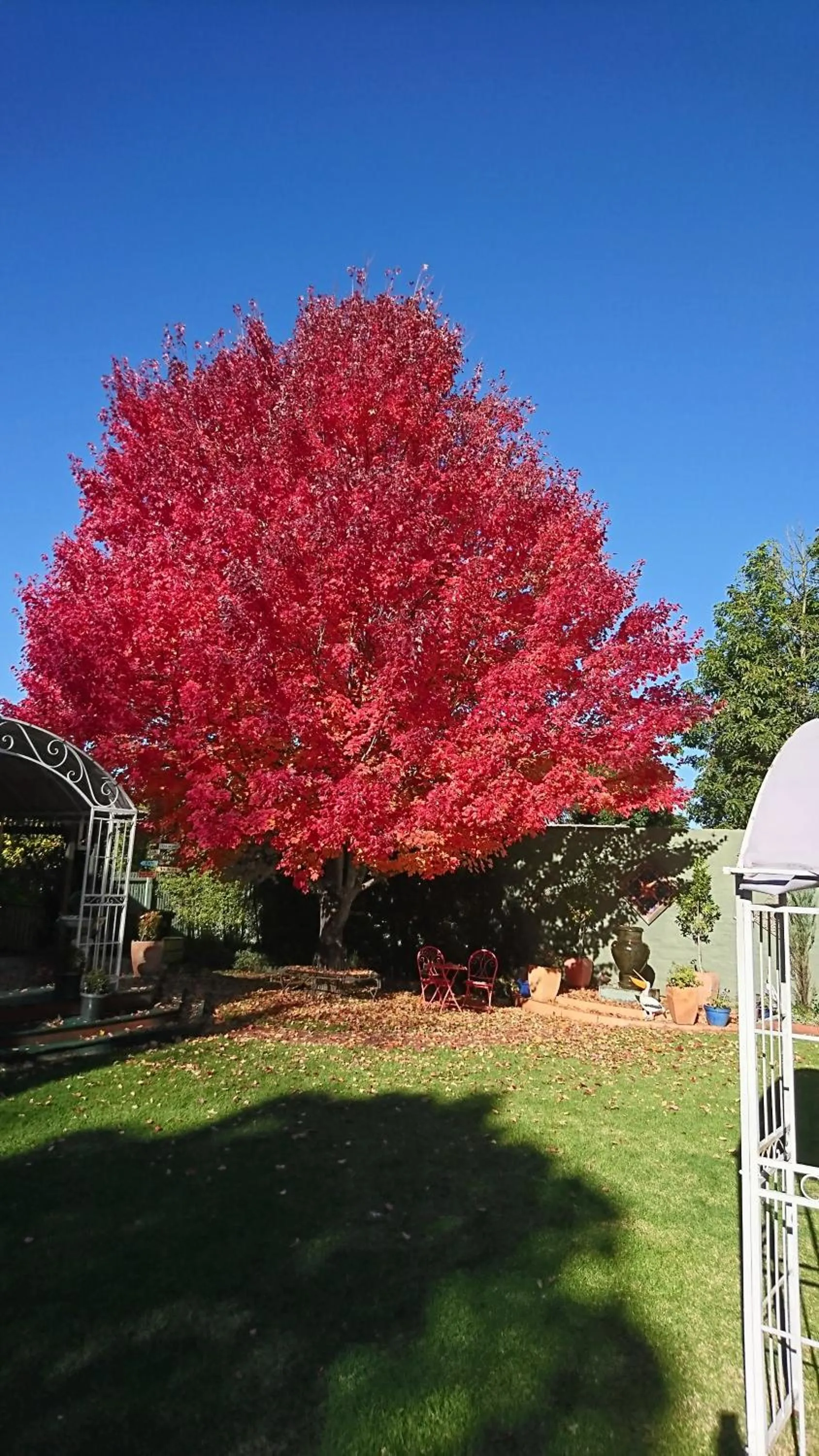 Autumn in Dalfruin B&B