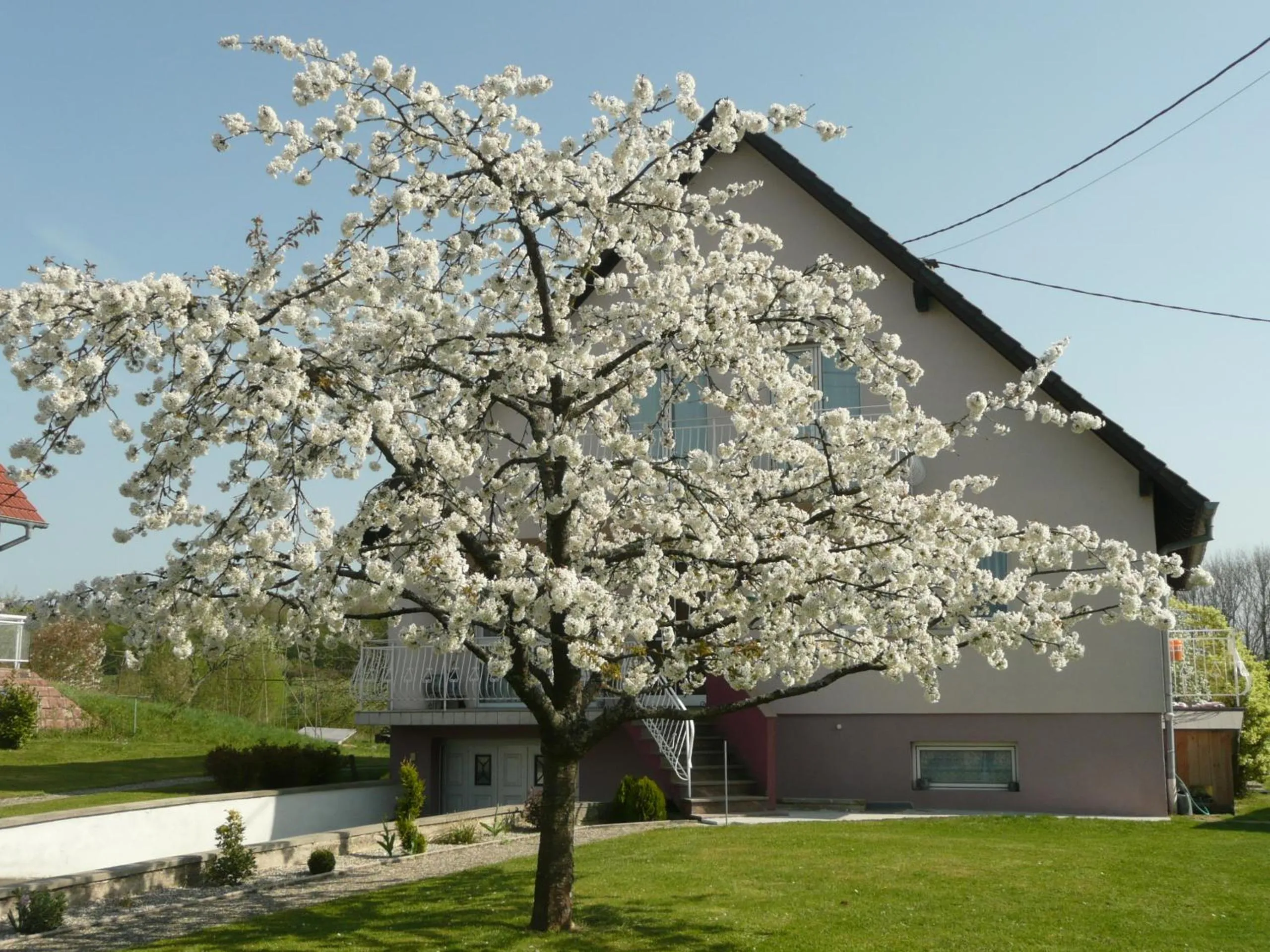 Property building in Chez Anny et Jean Au Mittelbuehl,Reichshoffen,Pays de Niederbronn les Bains