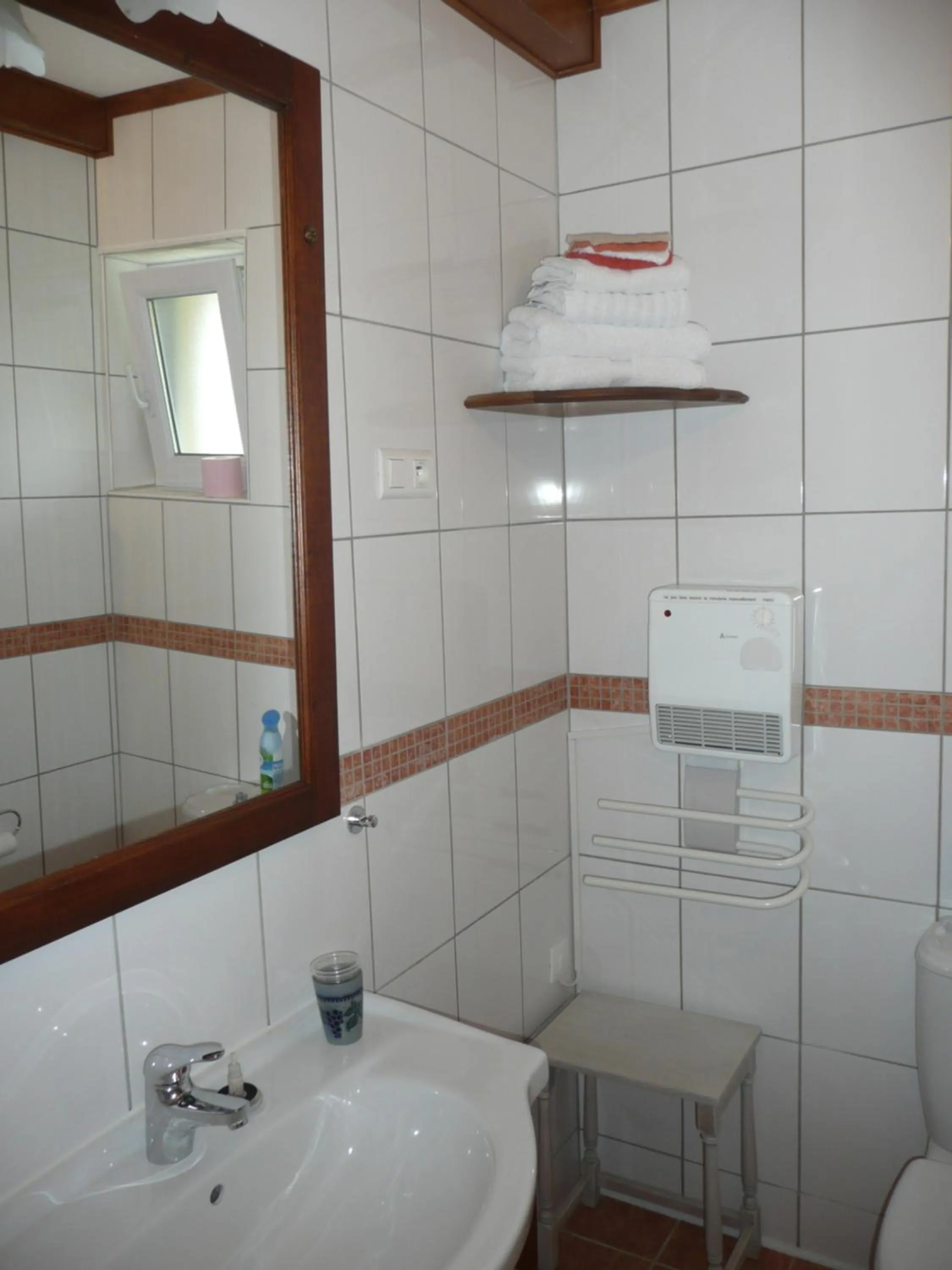 Bathroom in Chez Anny et Jean Au Mittelbuehl,Reichshoffen,Pays de Niederbronn les Bains