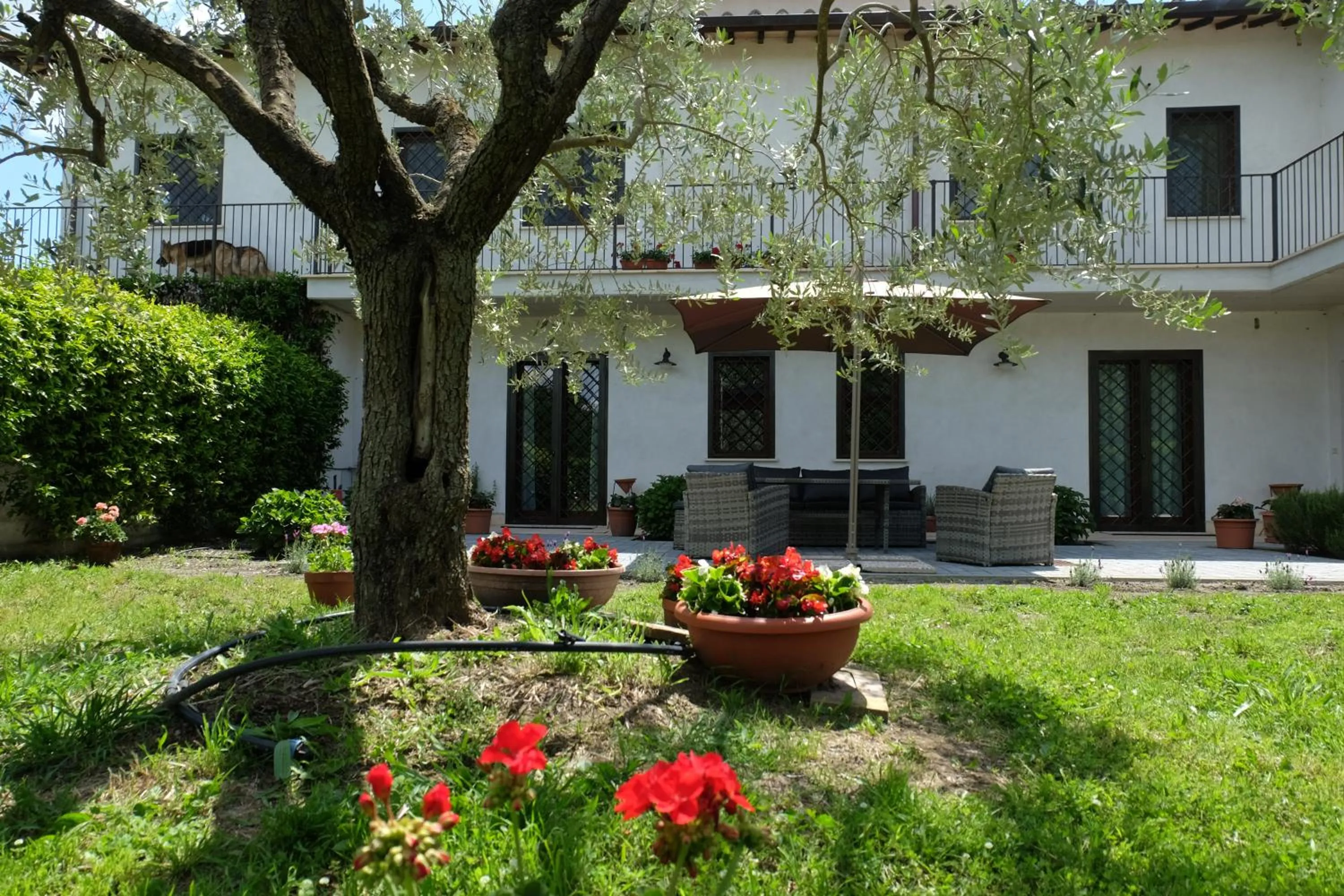 Property building in L'Orto sul Poggio