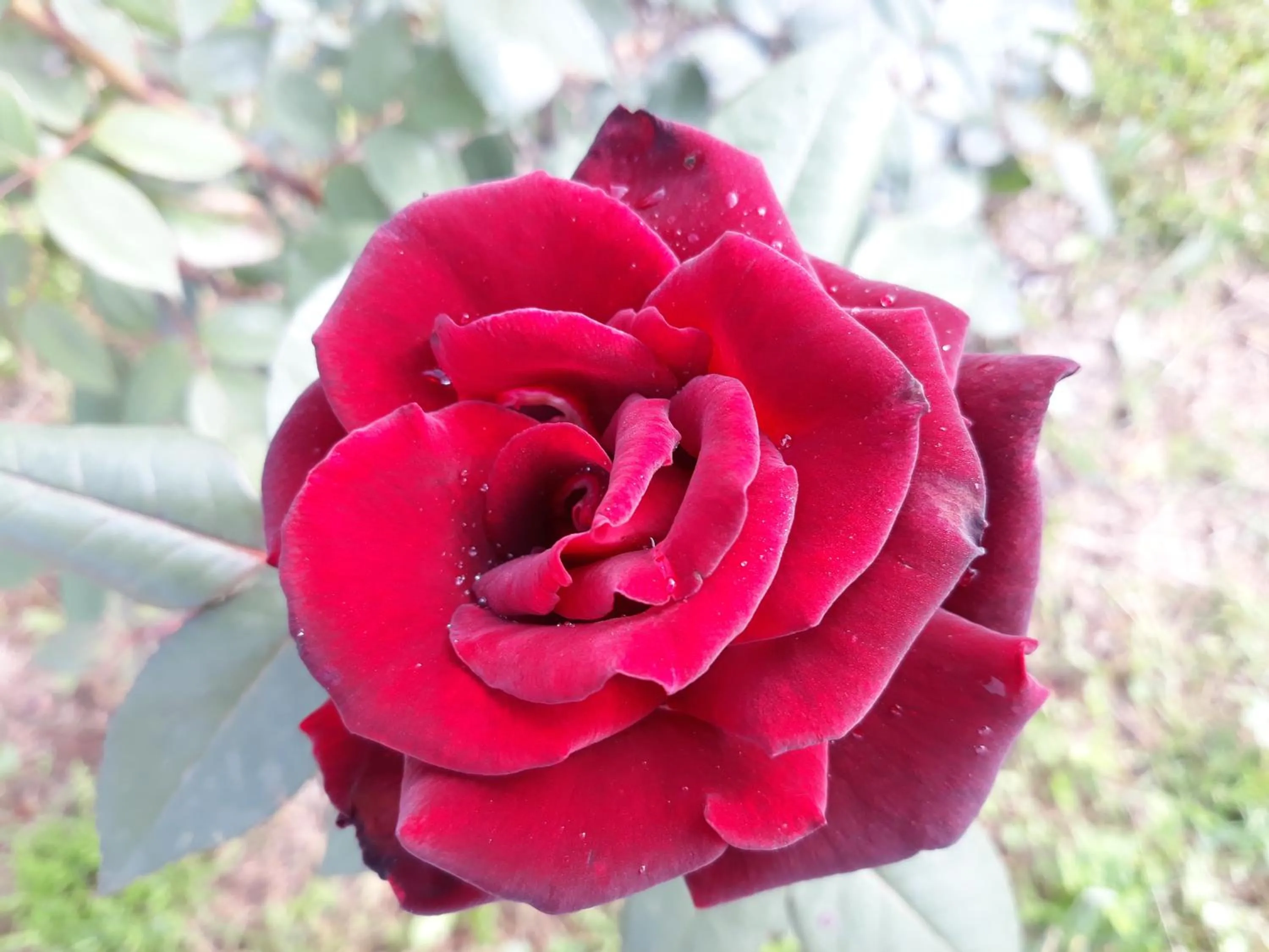 Property building in L'Orto sul Poggio