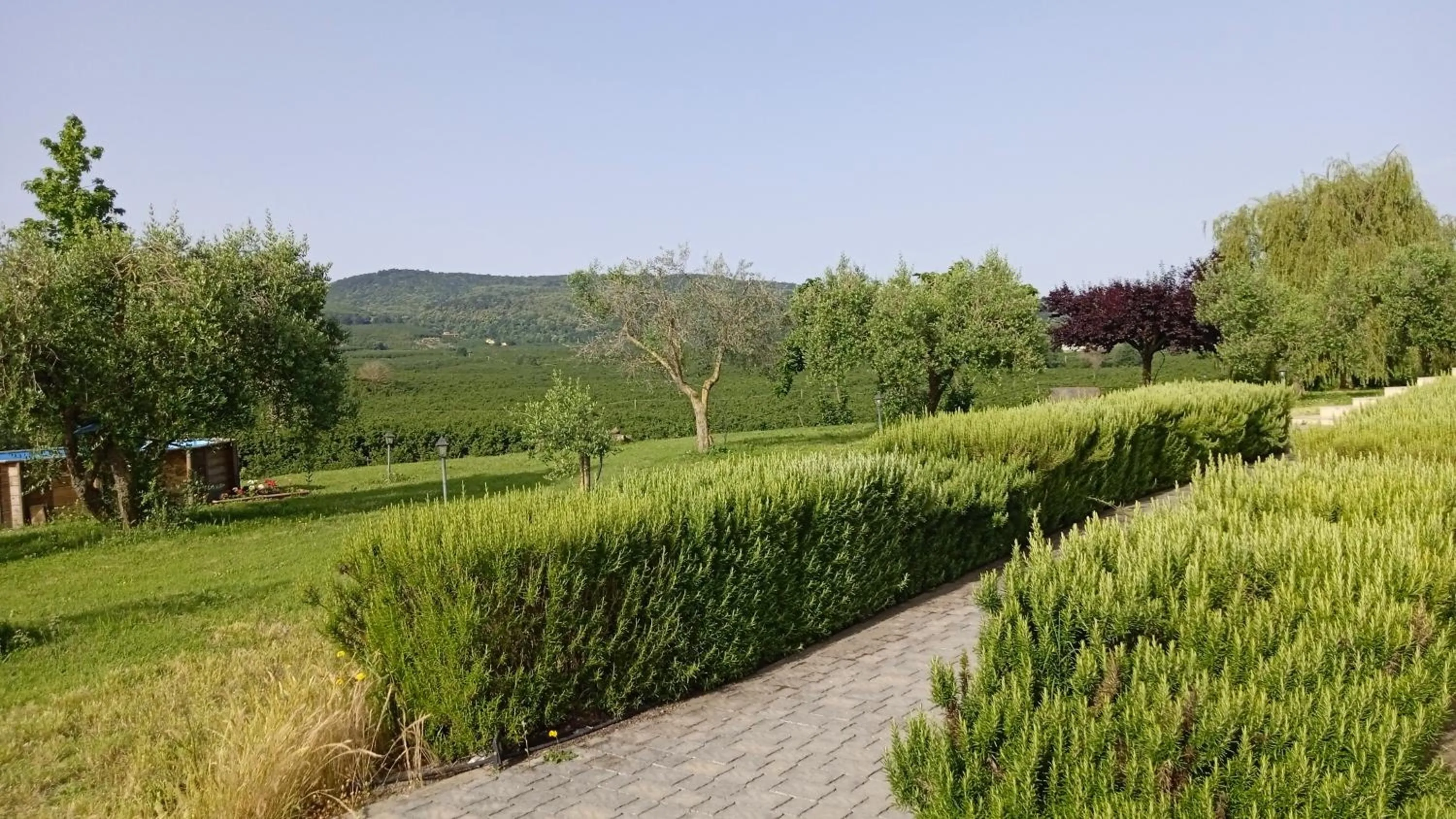 Natural landscape in L'Orto sul Poggio