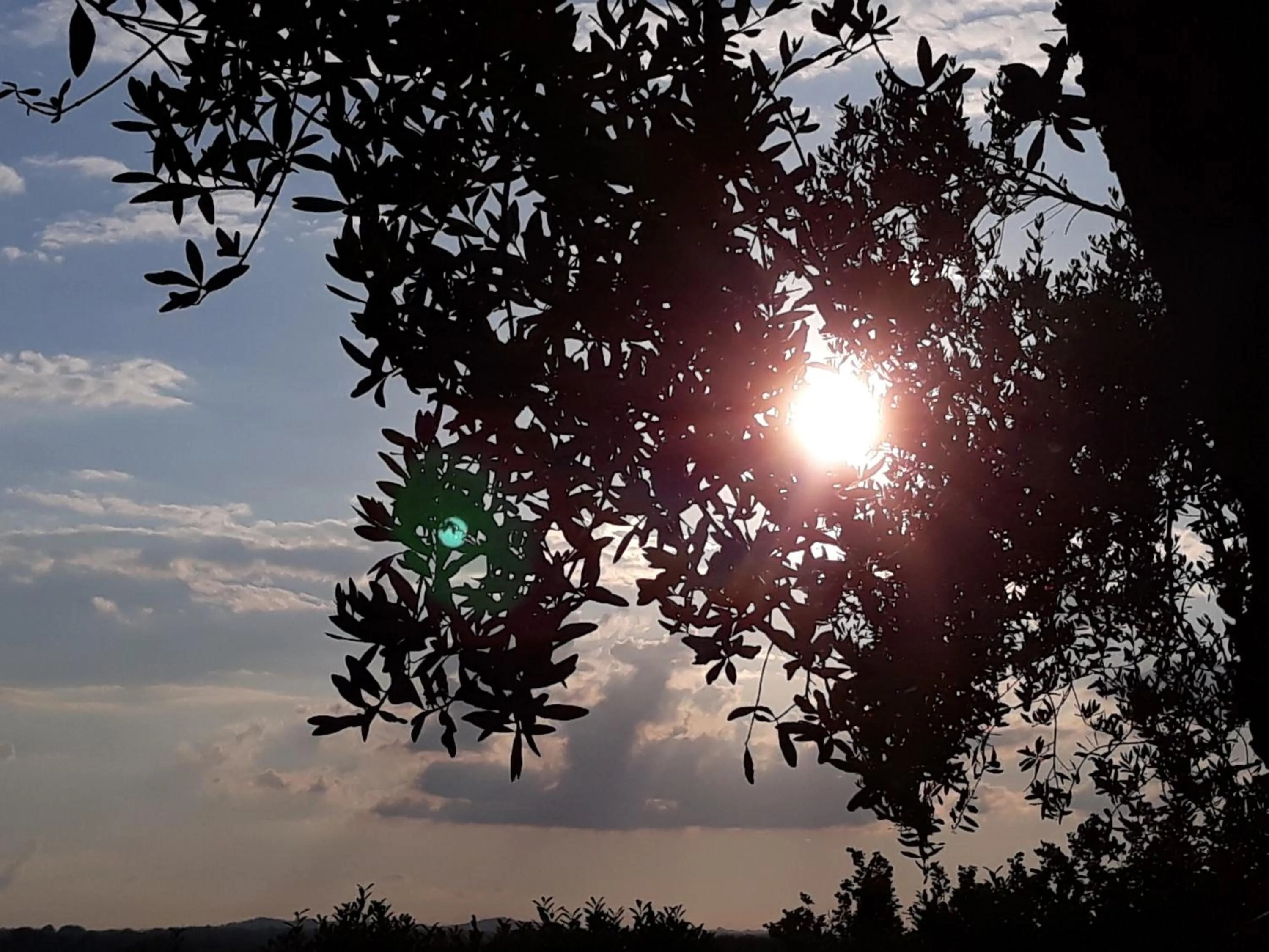 Property building in L'Orto sul Poggio