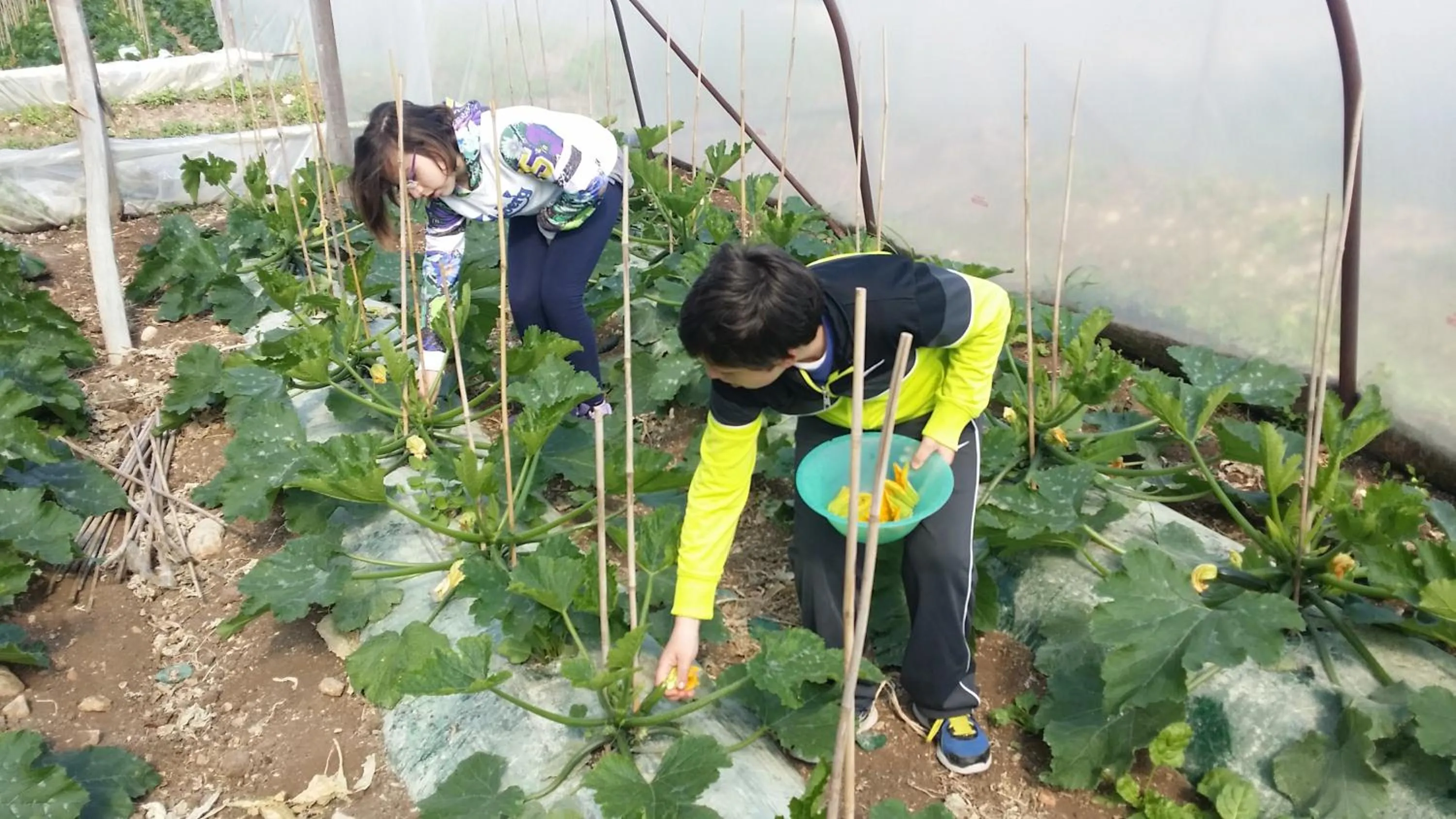 Entertainment in Masseria Case Damma