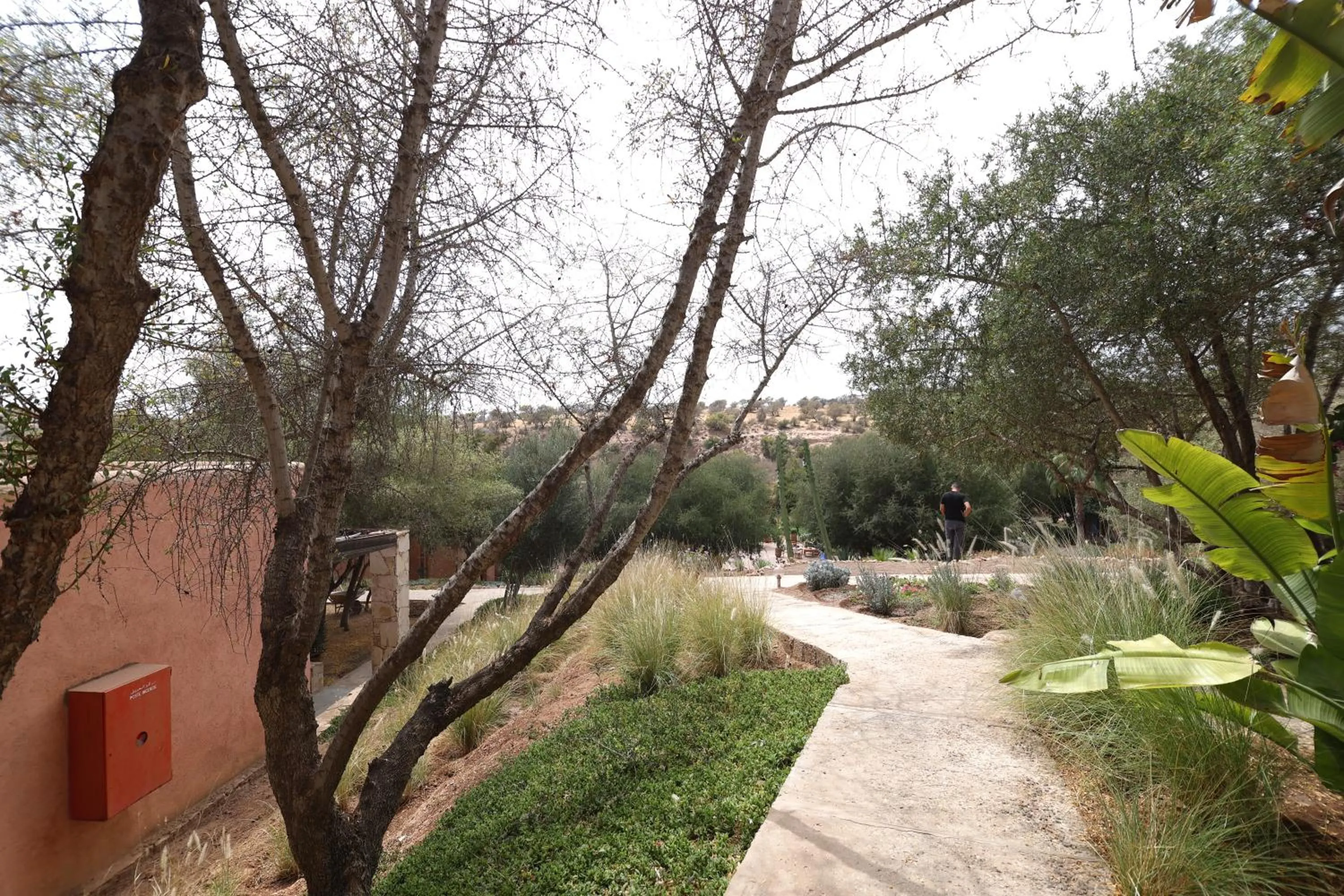 View (from property/room) in Paradis Nomade