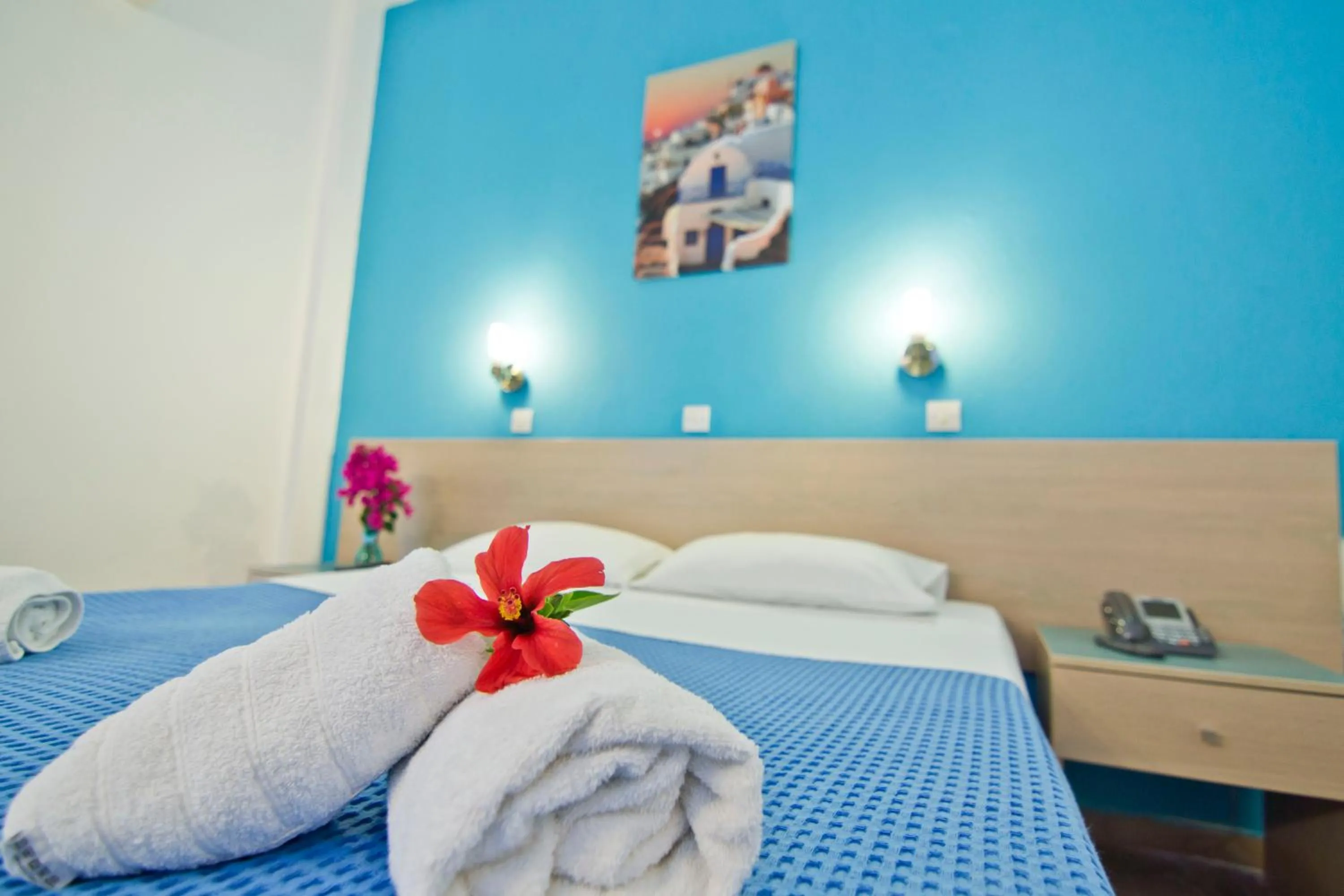 Photo of the whole room in Argo Hotel