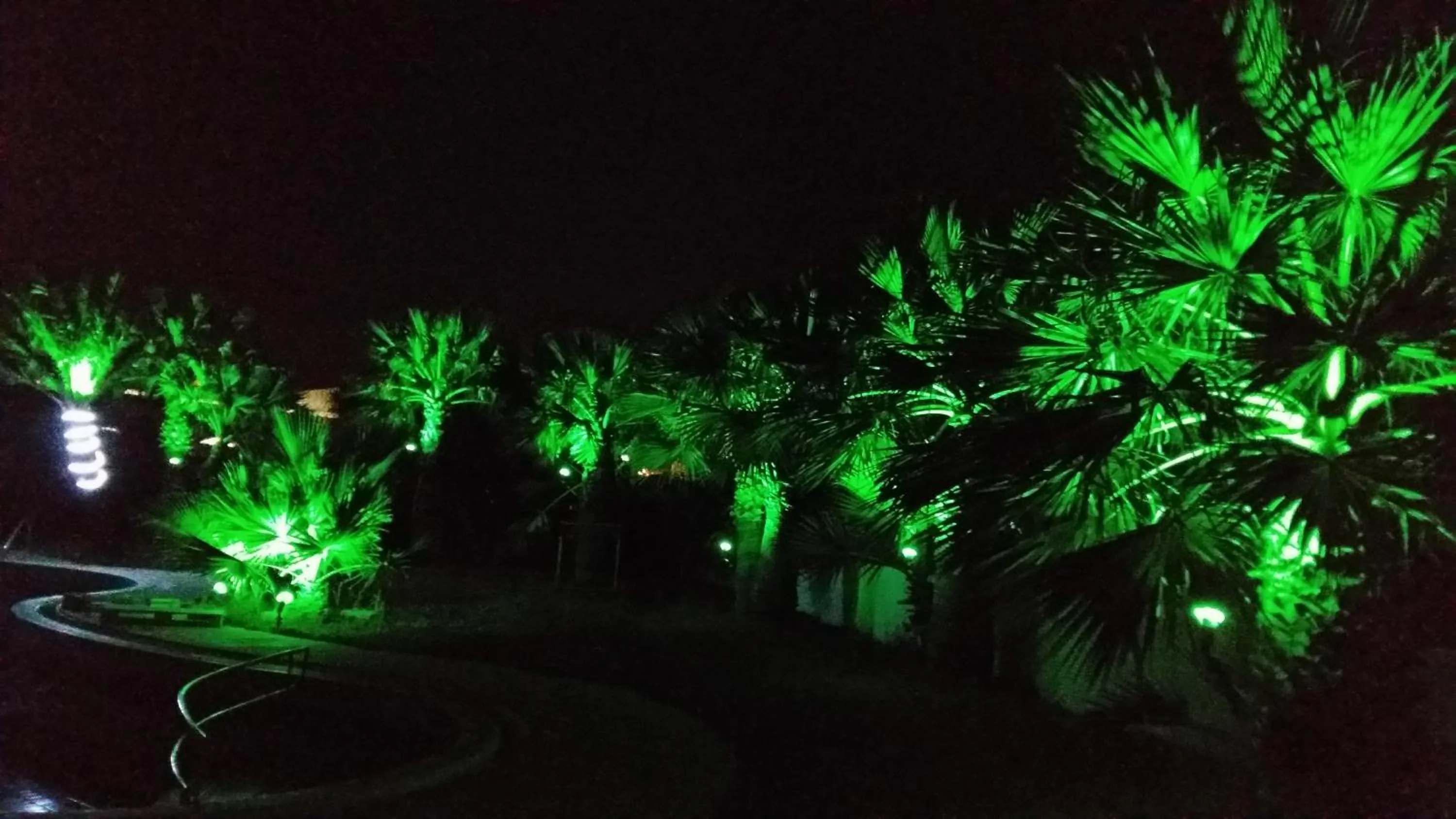 Garden in Argo Hotel