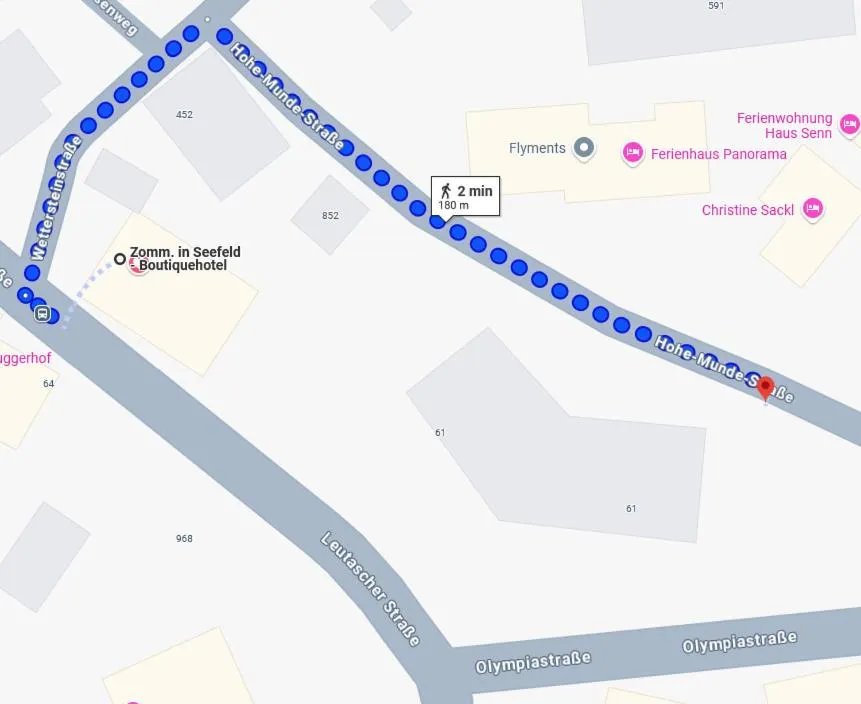 Street view in Boutiquehotel ZOMM in Seefeld