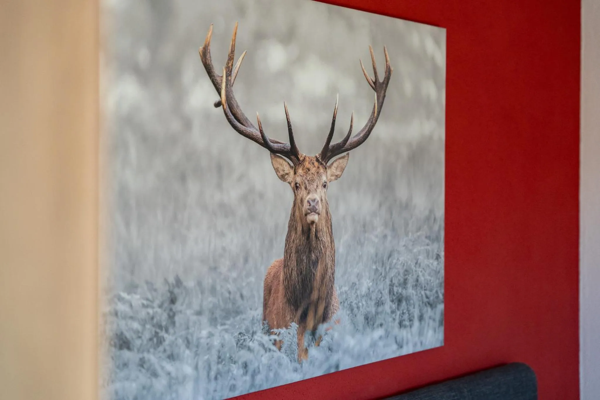 Decorative detail in Boutiquehotel ZOMM in Seefeld