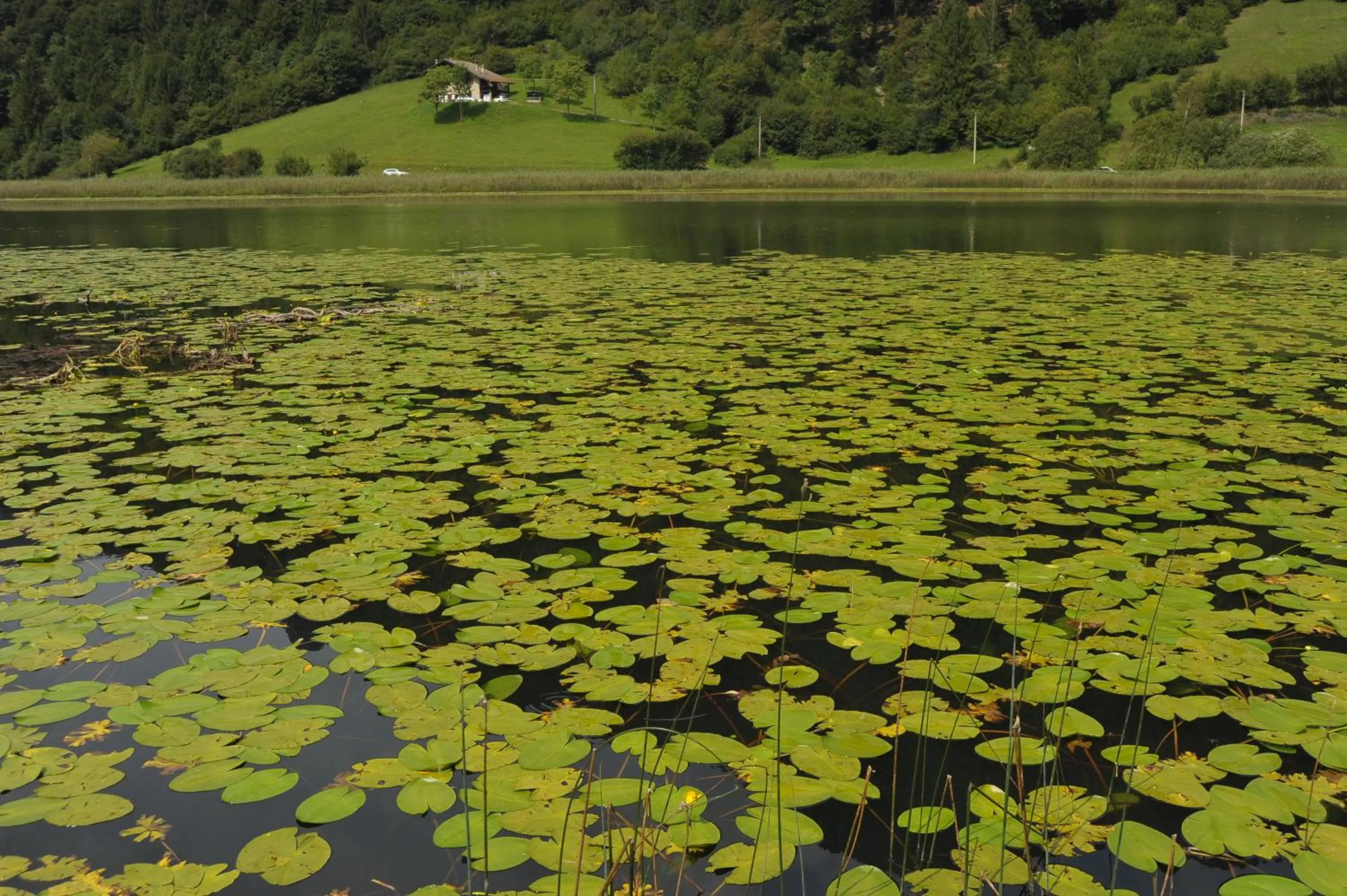 Hiking in Hotel Garni My Ledro