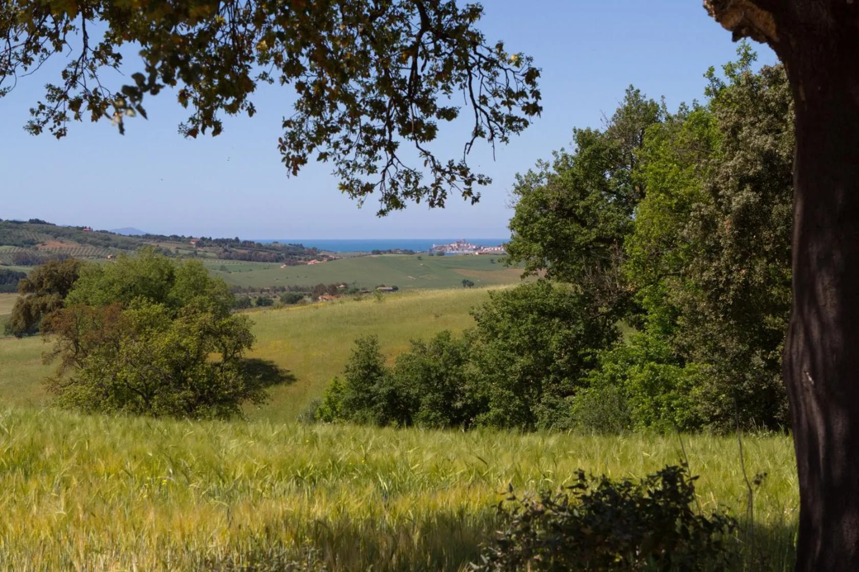 Natural landscape in Hotel Ristorante Le Querciolaie dei Ricci