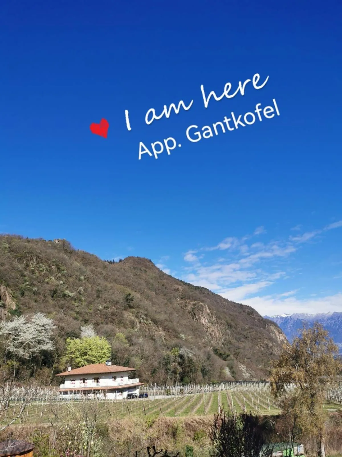 View (from property/room) in Residence Reinhild