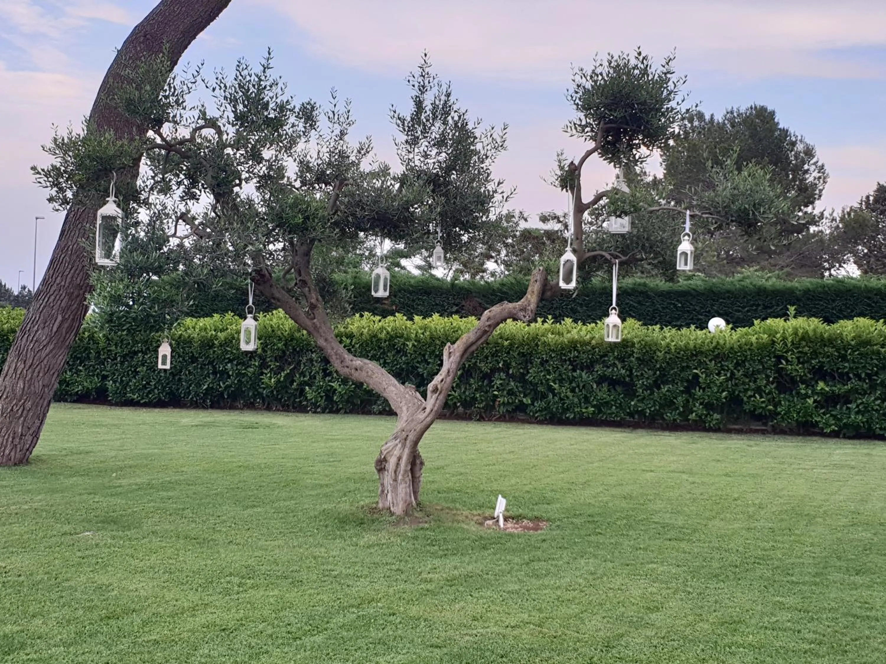 Garden in Villa Natia