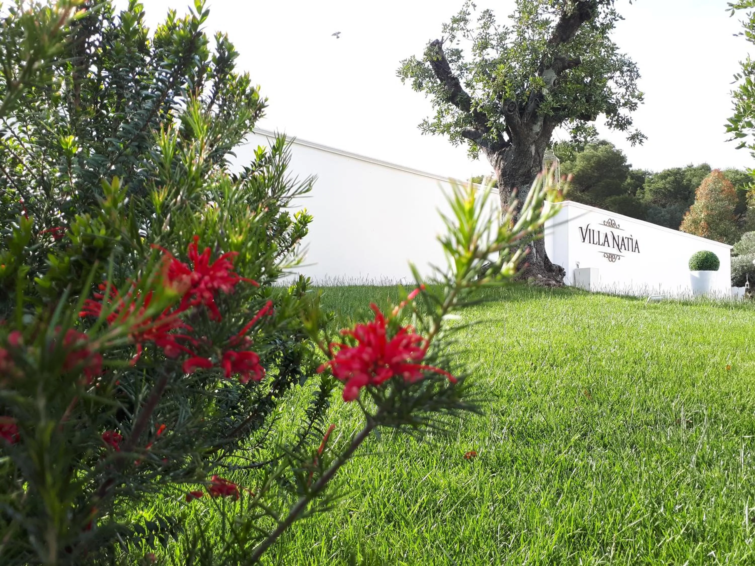 Property building in Villa Natia