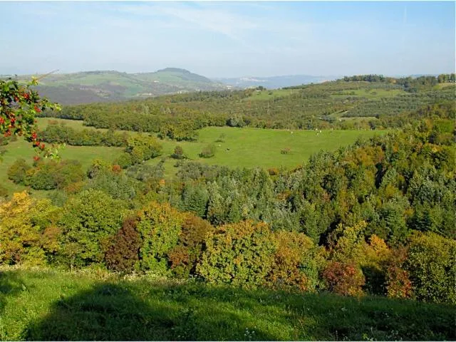 Natural landscape in B&B Romy Rocker
