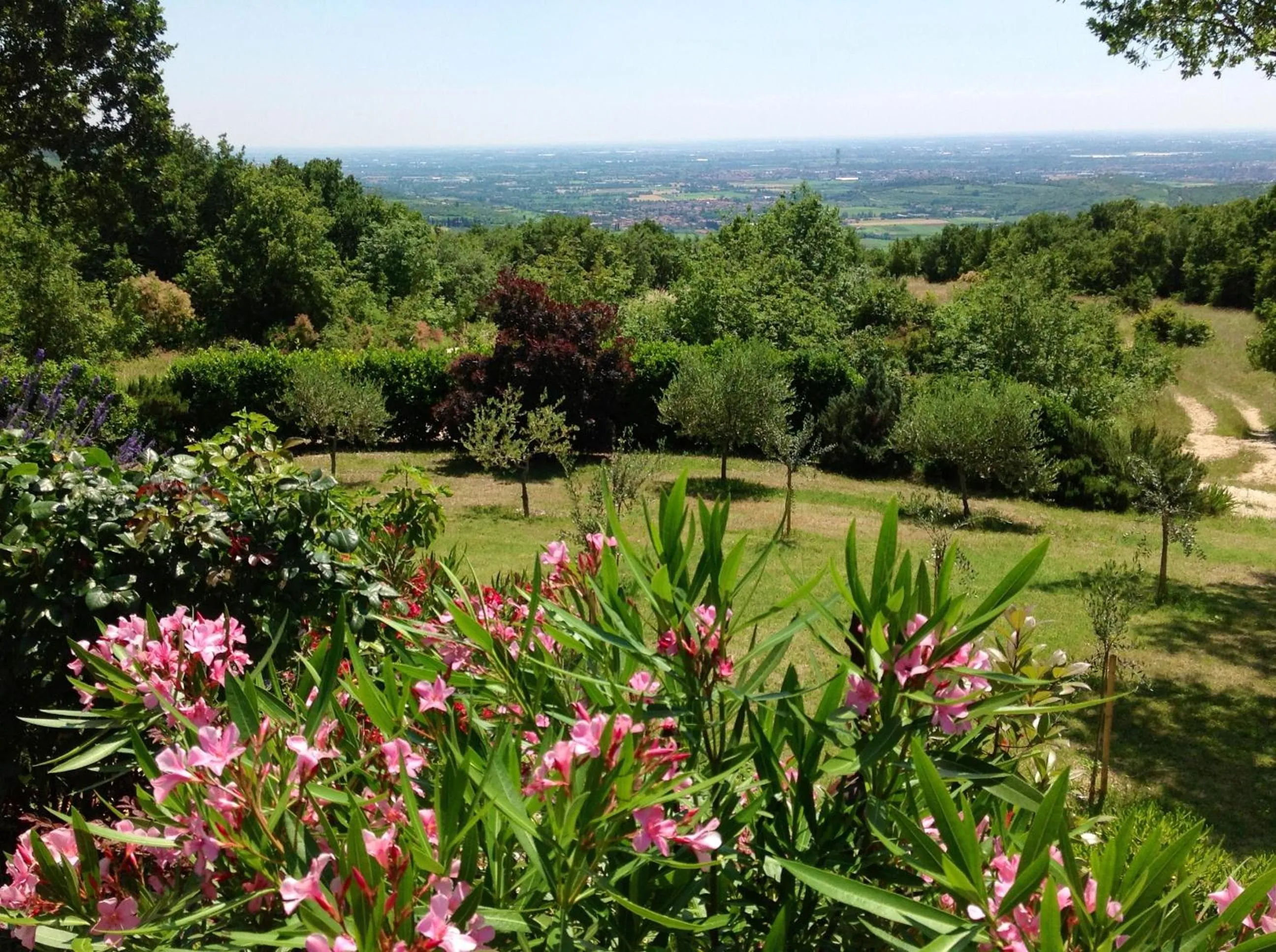 Spring in B&B Romy Rocker