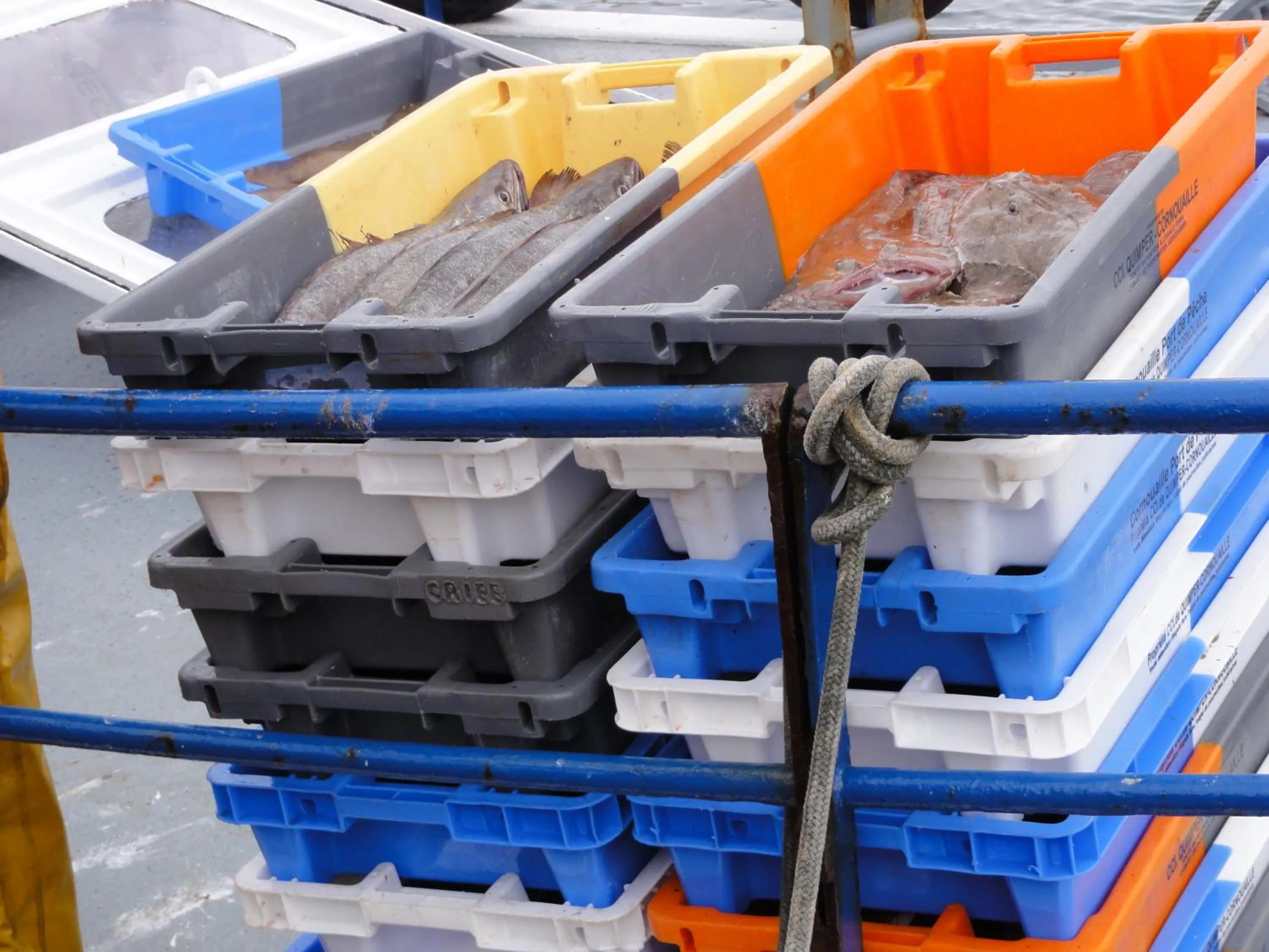 On site in les volets bleus