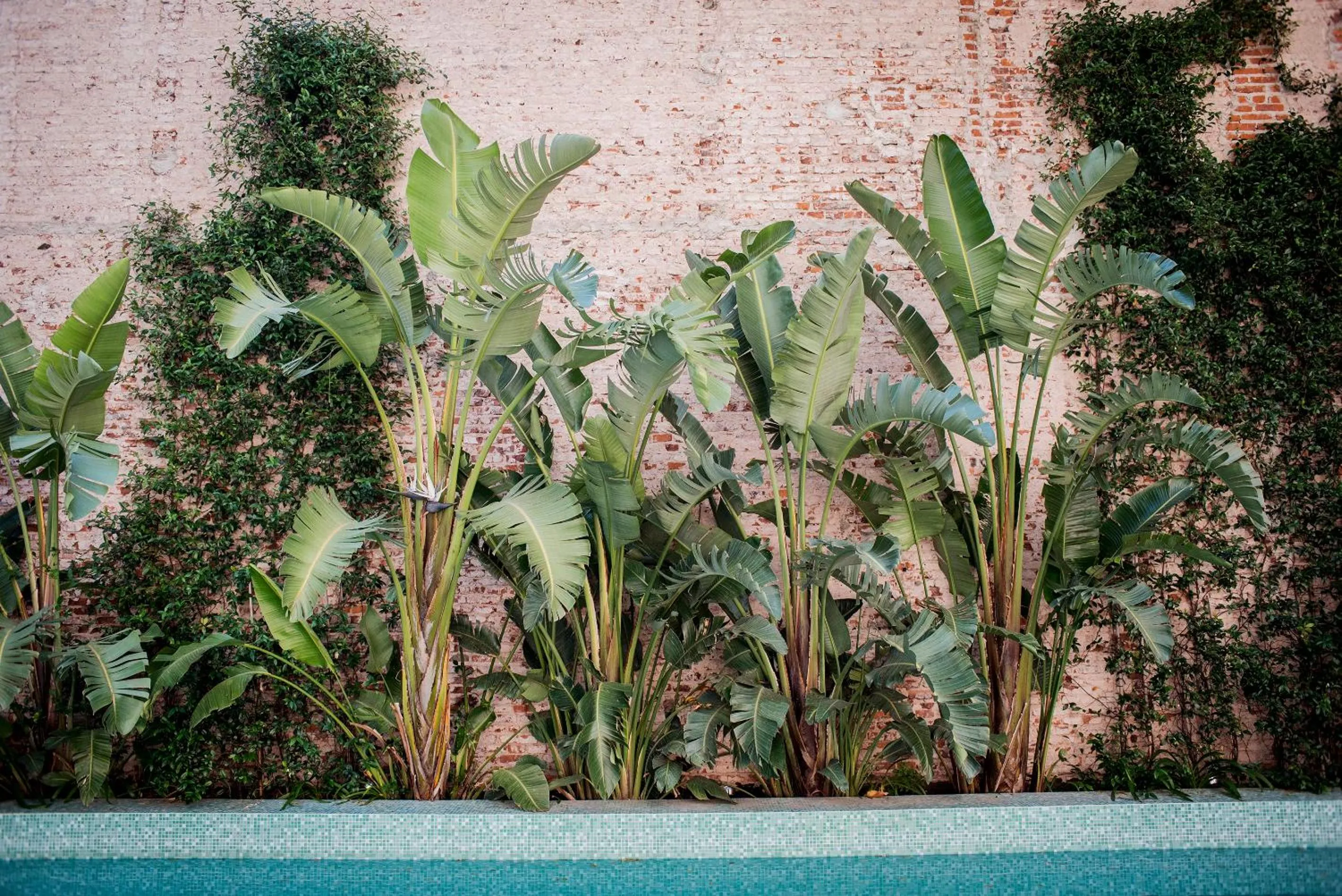 Swimming pool in Top Rentals WOW Nuñez