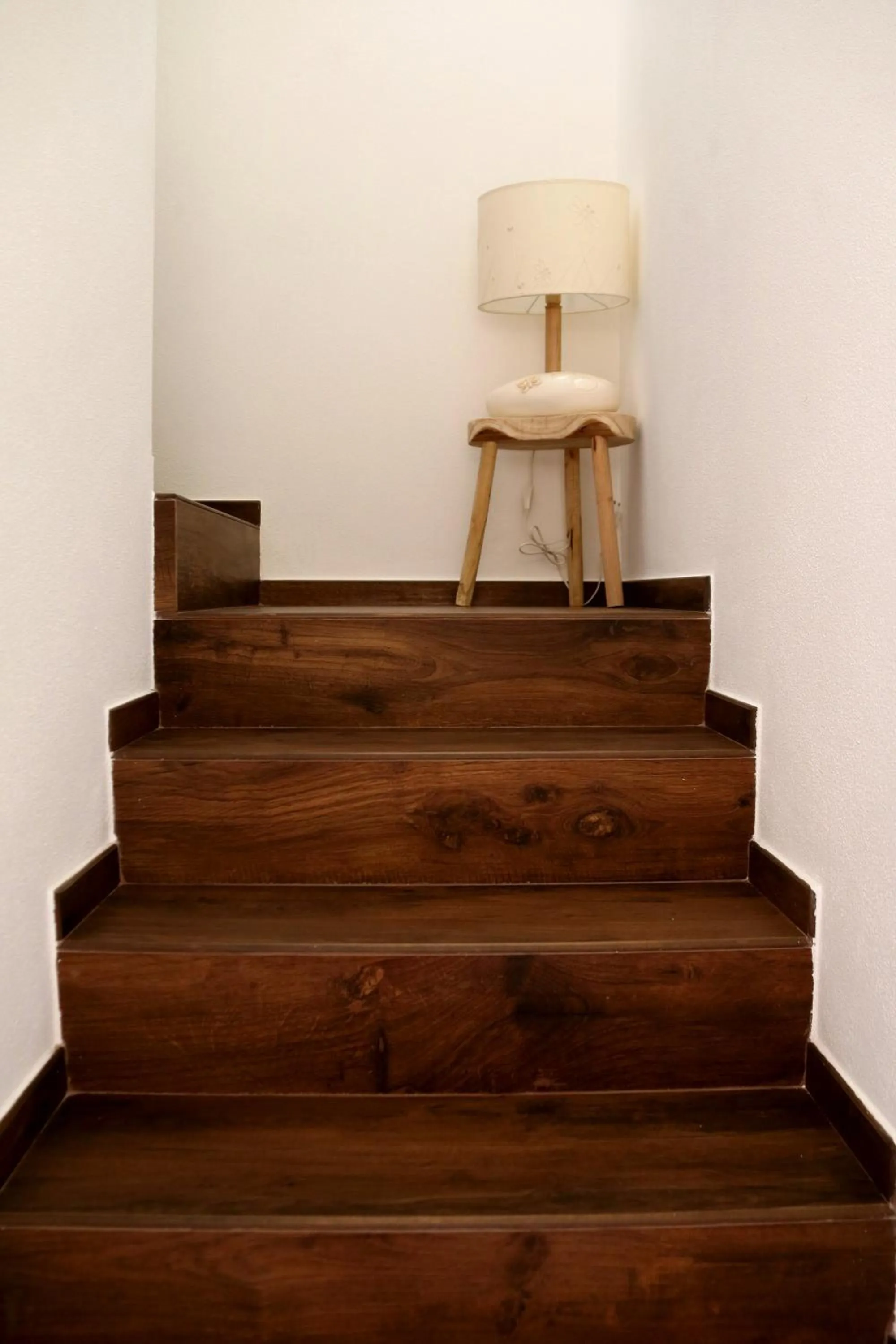 Other in La rosa dei venti