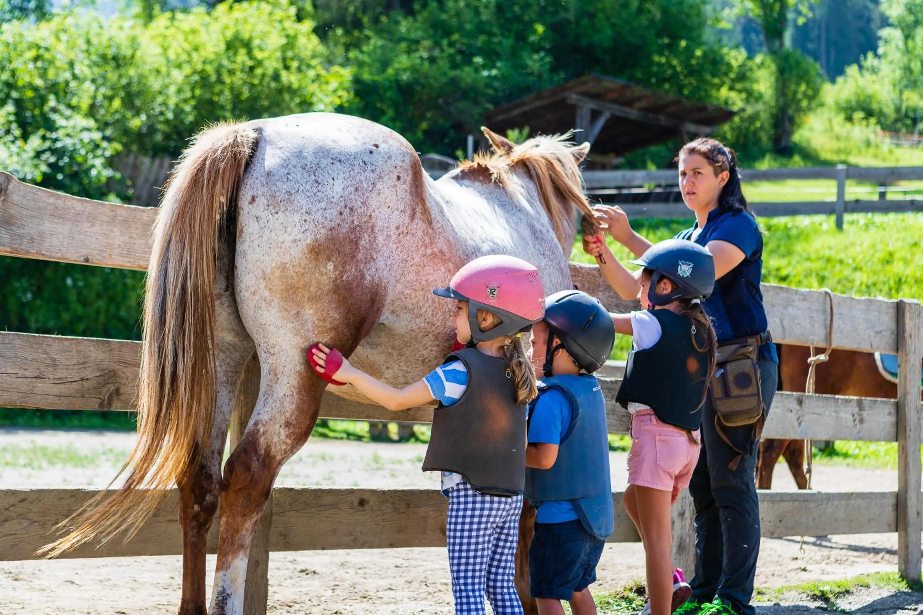 Activities in Albergo Dimaro Wellness Hotel