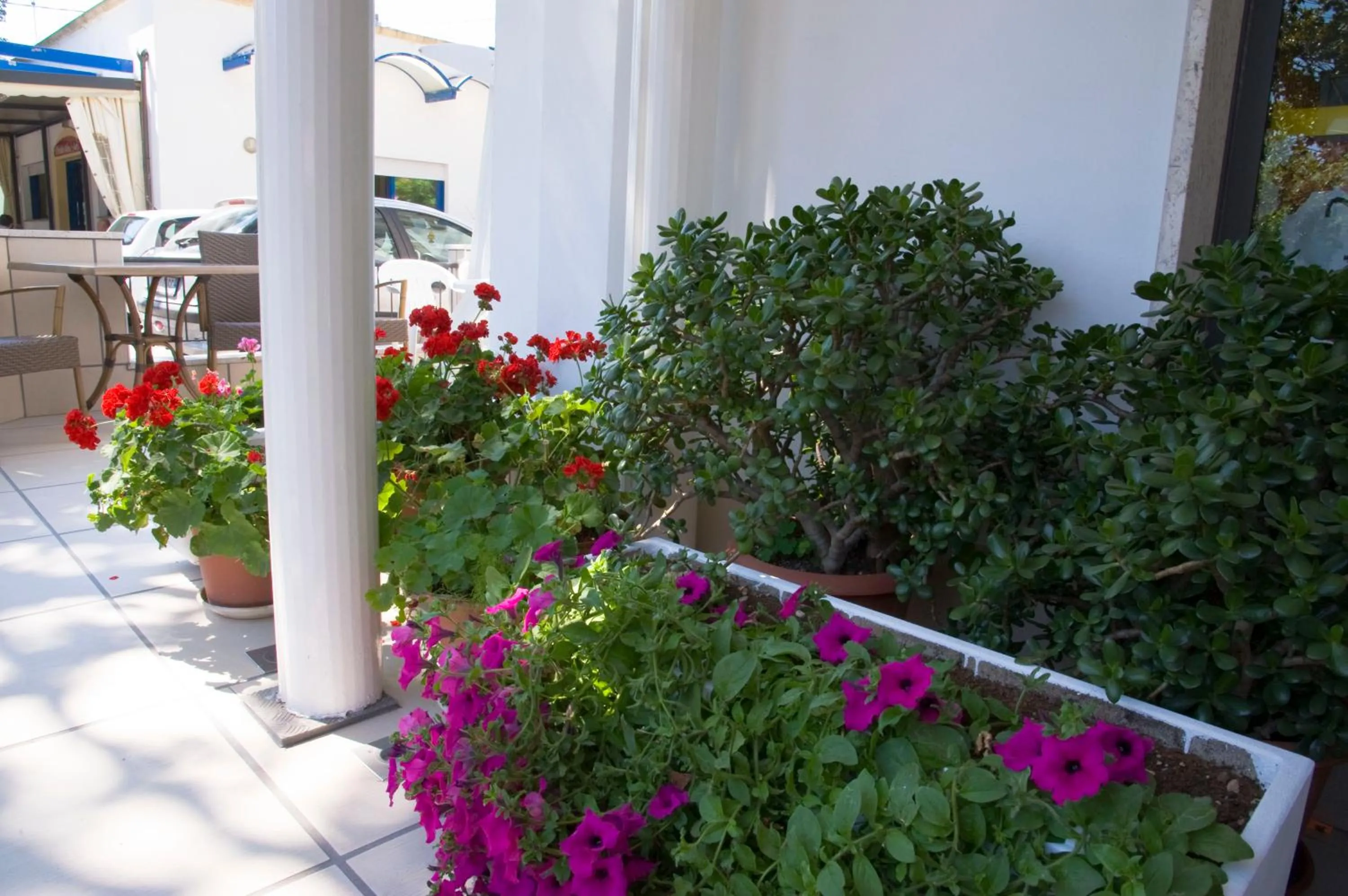 Patio in Hotel Maris Stella
