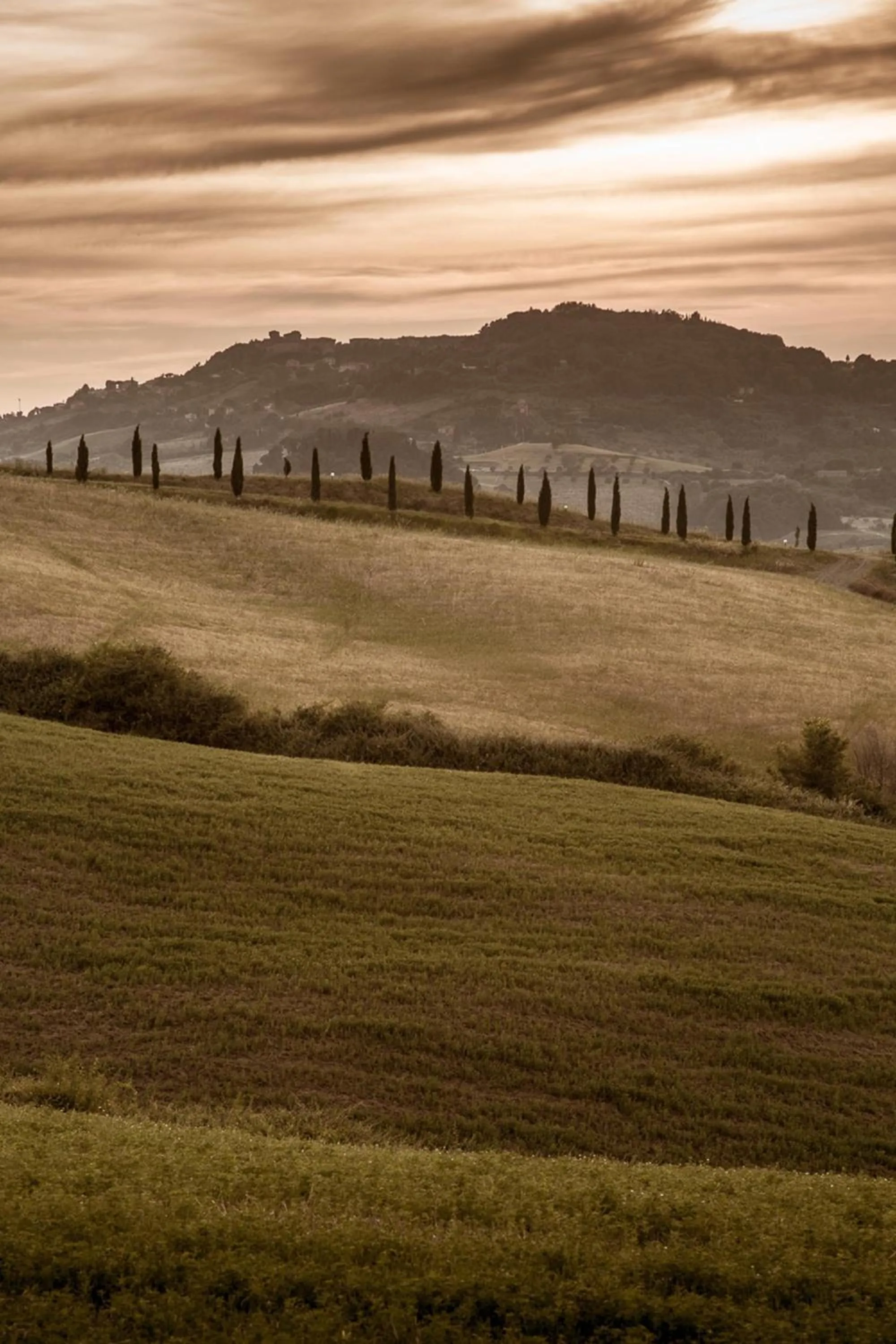 Area and facilities in Relais Villa Sensano