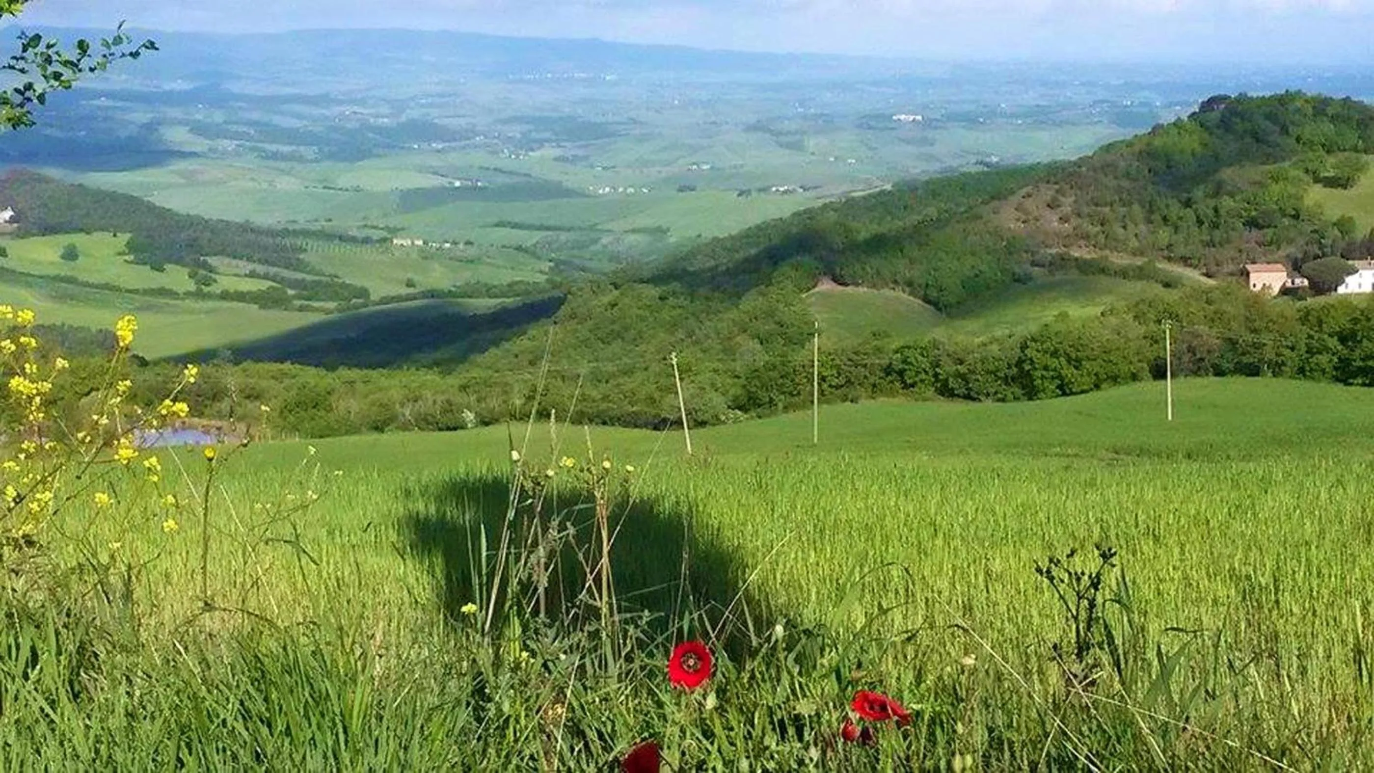 Day in Relais Villa Sensano