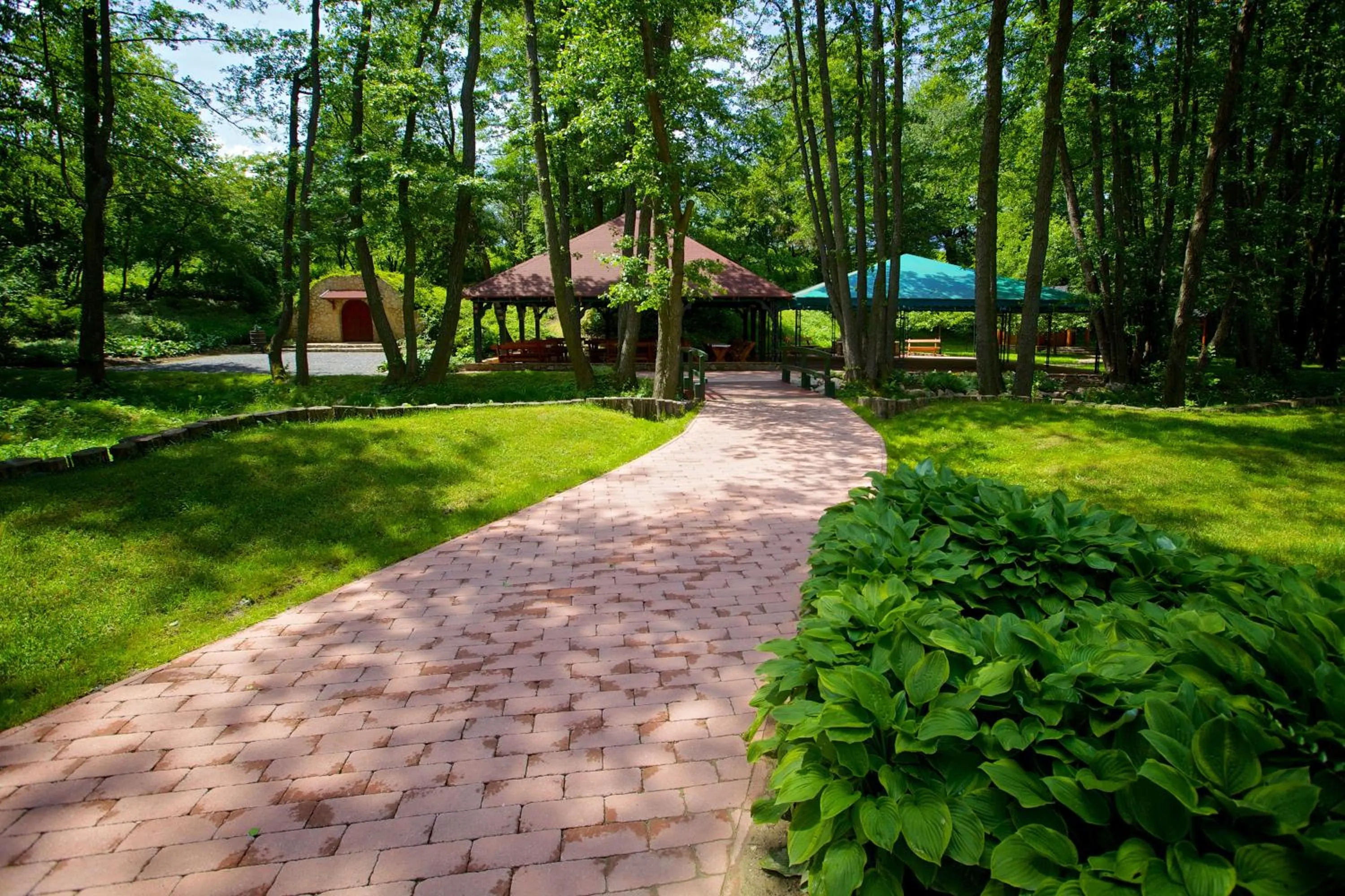 Garden in Hotel Forest Hills