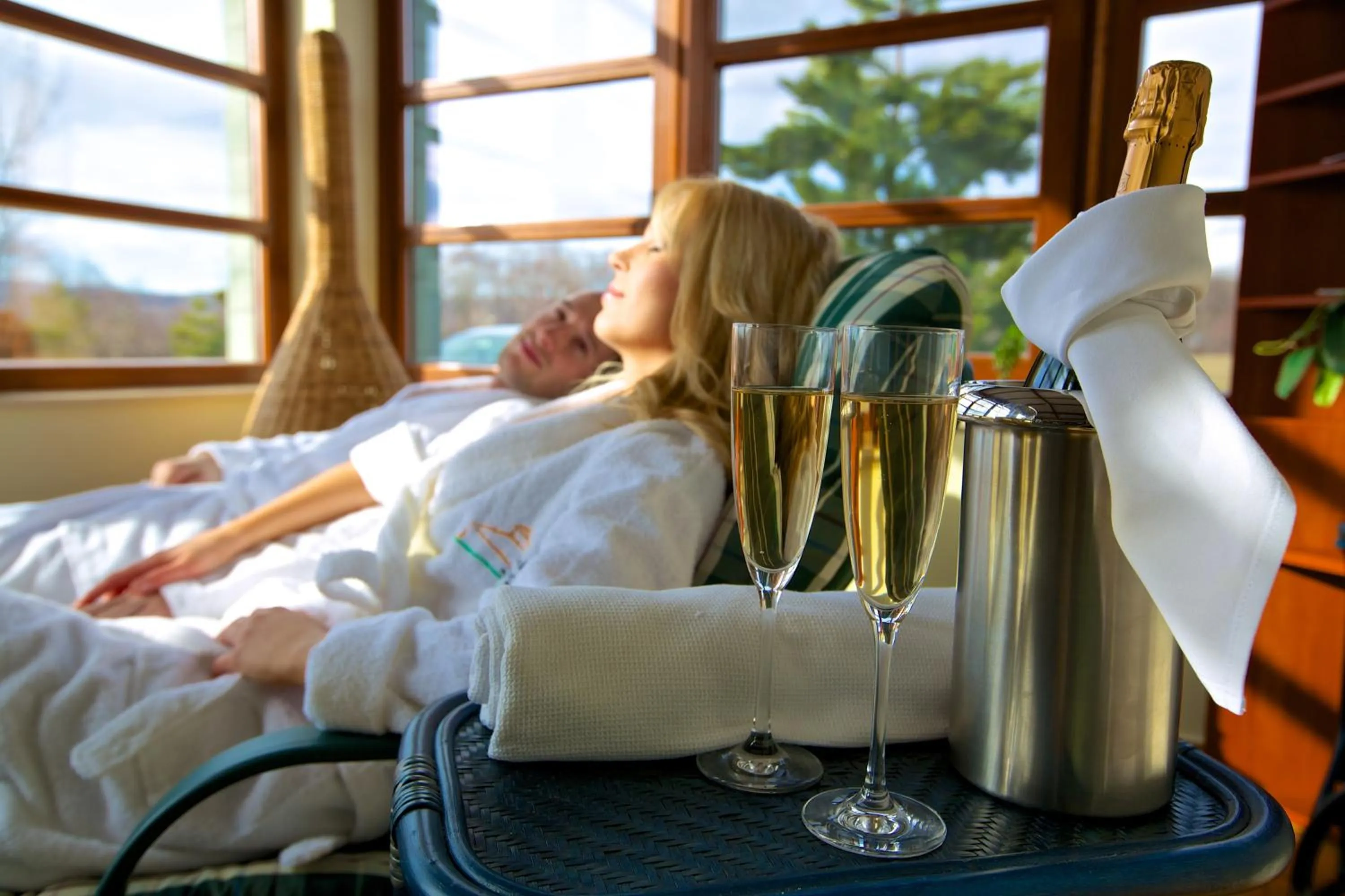 Spa and wellness centre/facilities in Hotel Forest Hills