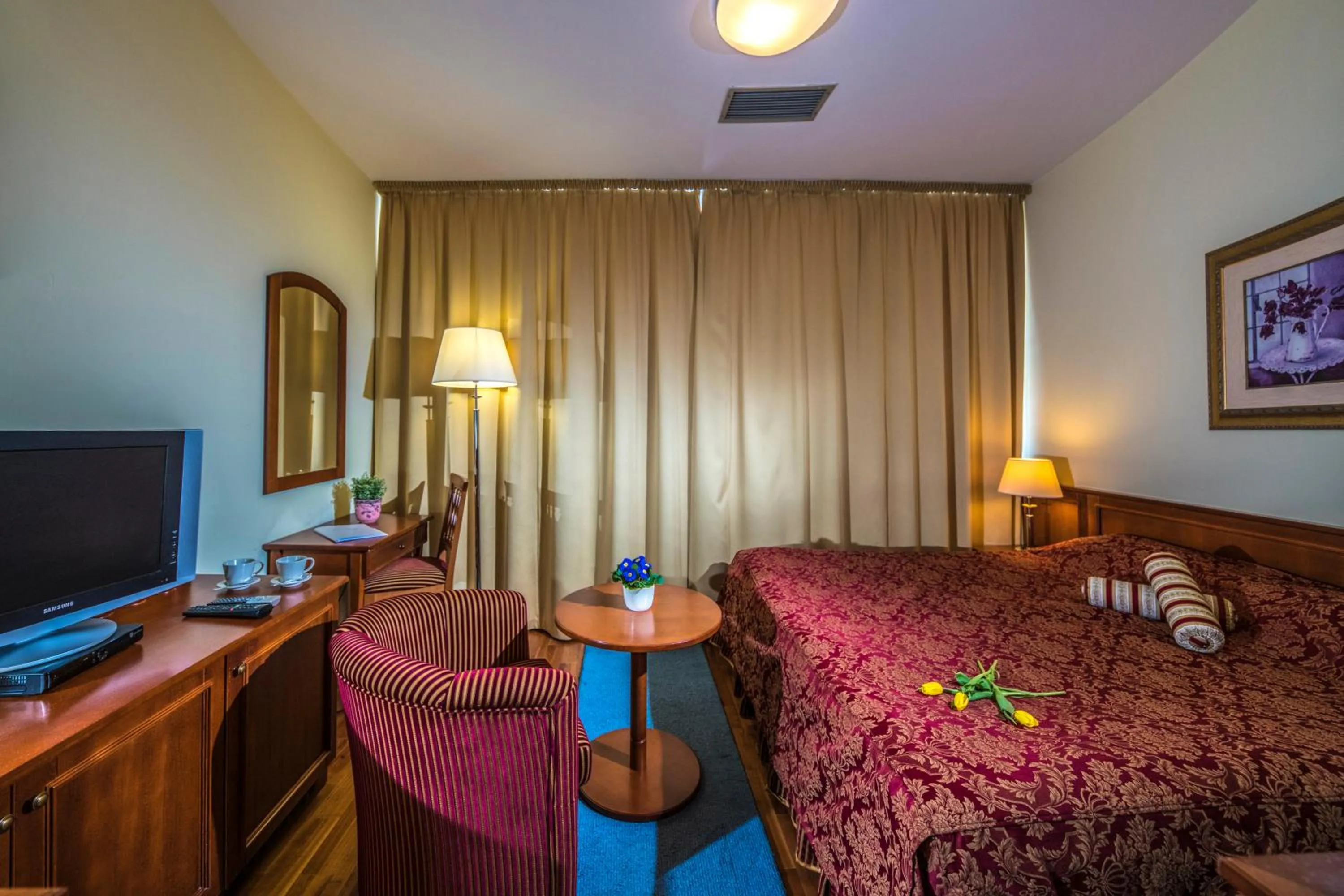 TV and multimedia in Hotel Forest Hills