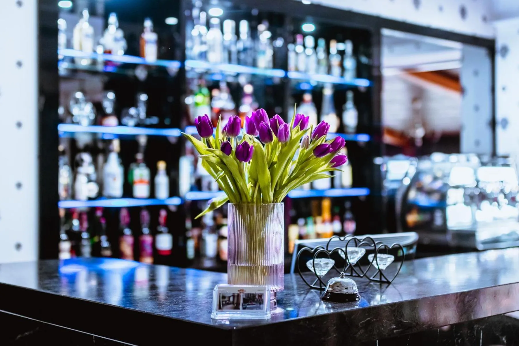 Lounge or bar in Hotel Imperial Residence