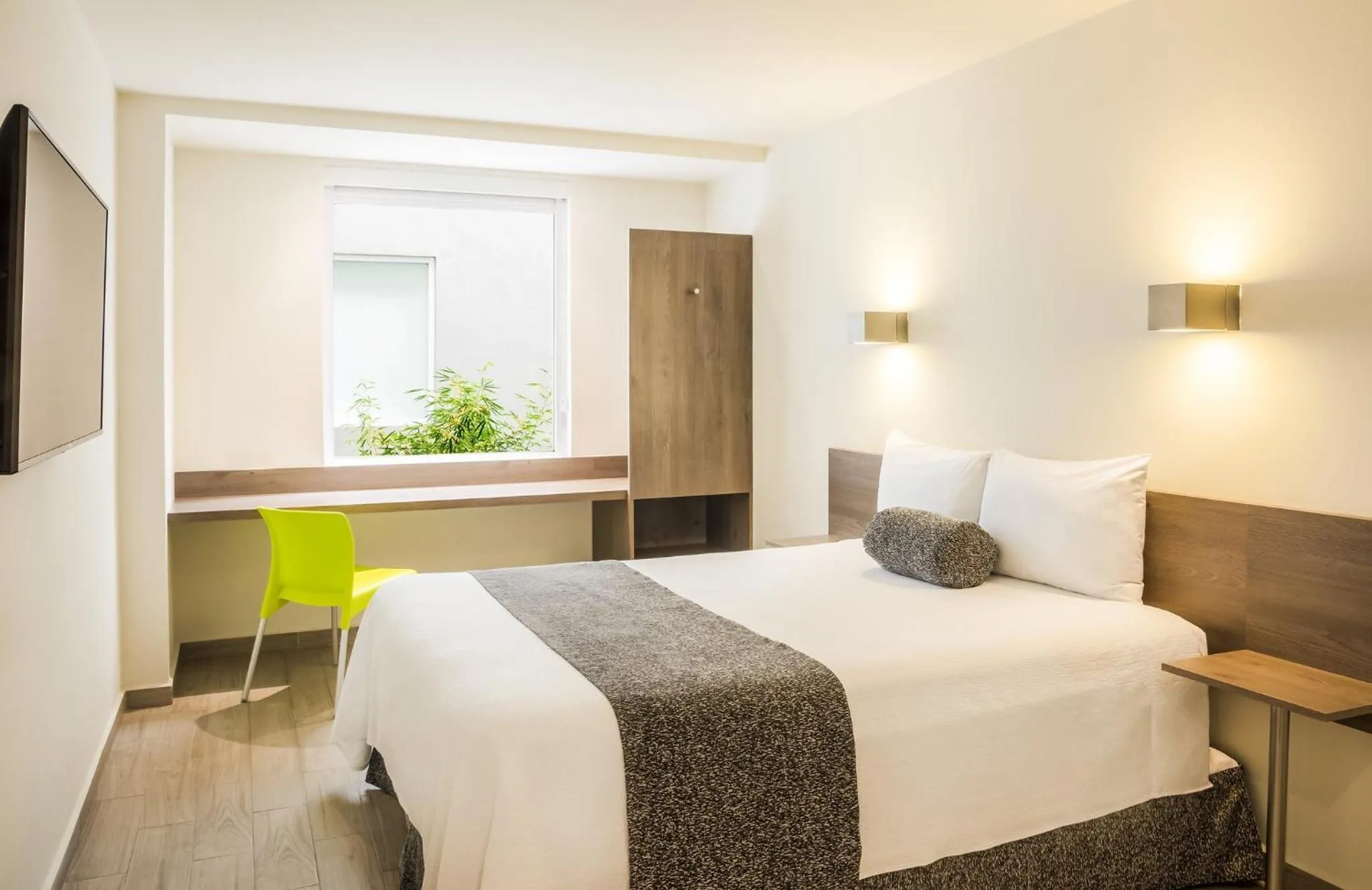 Photo of the whole room, Bed in One Ciudad de Mexico La Raza