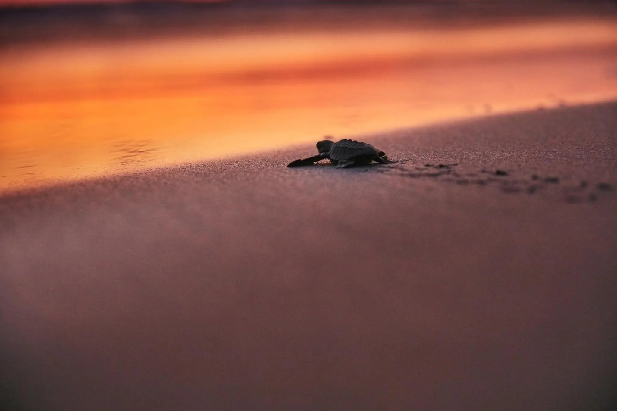 Nearby landmark in One Acapulco Diamante