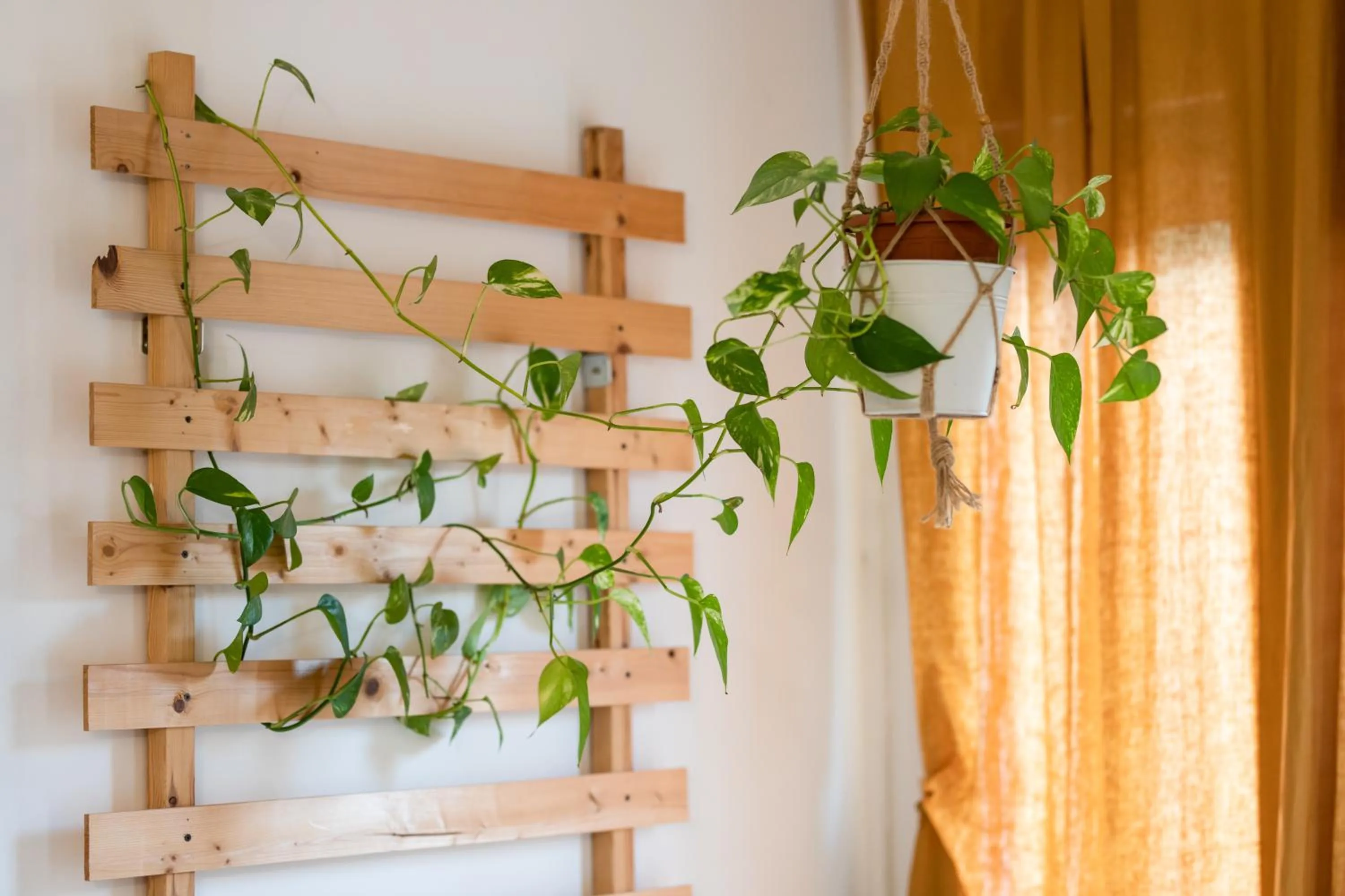 Decorative detail in L'Imperiale RomaTrastevere