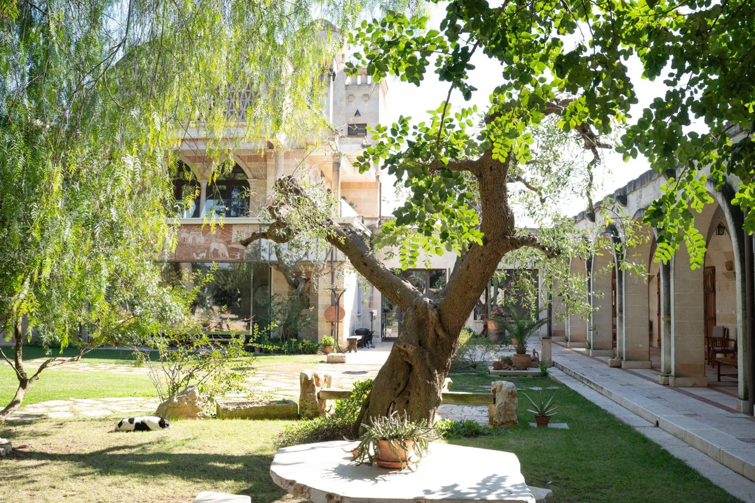 Property building in Masseria Le Lamie