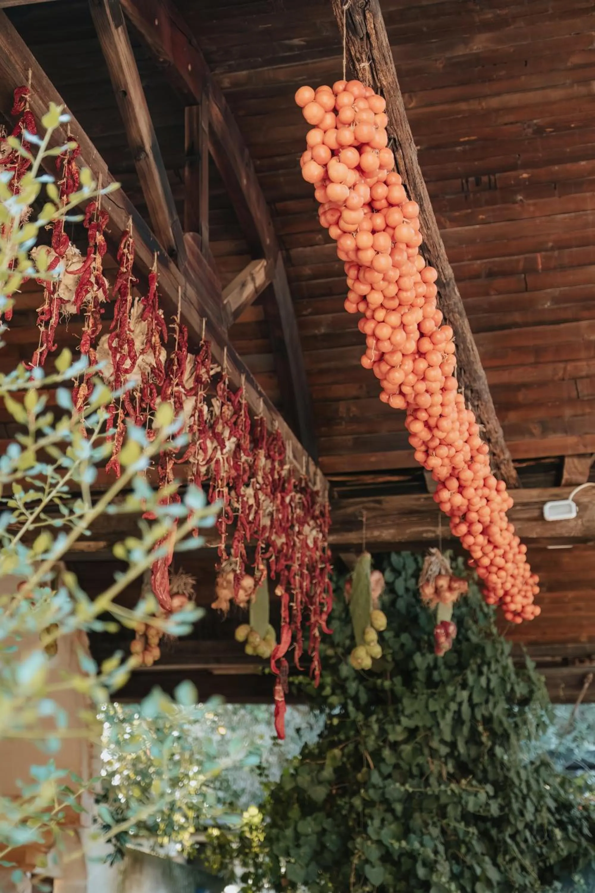 Garden view in Masseria Le Lamie