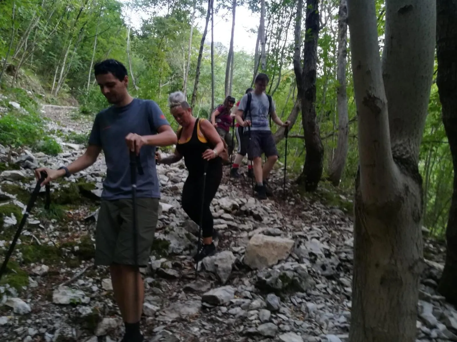 Activities in Zenit Hotel