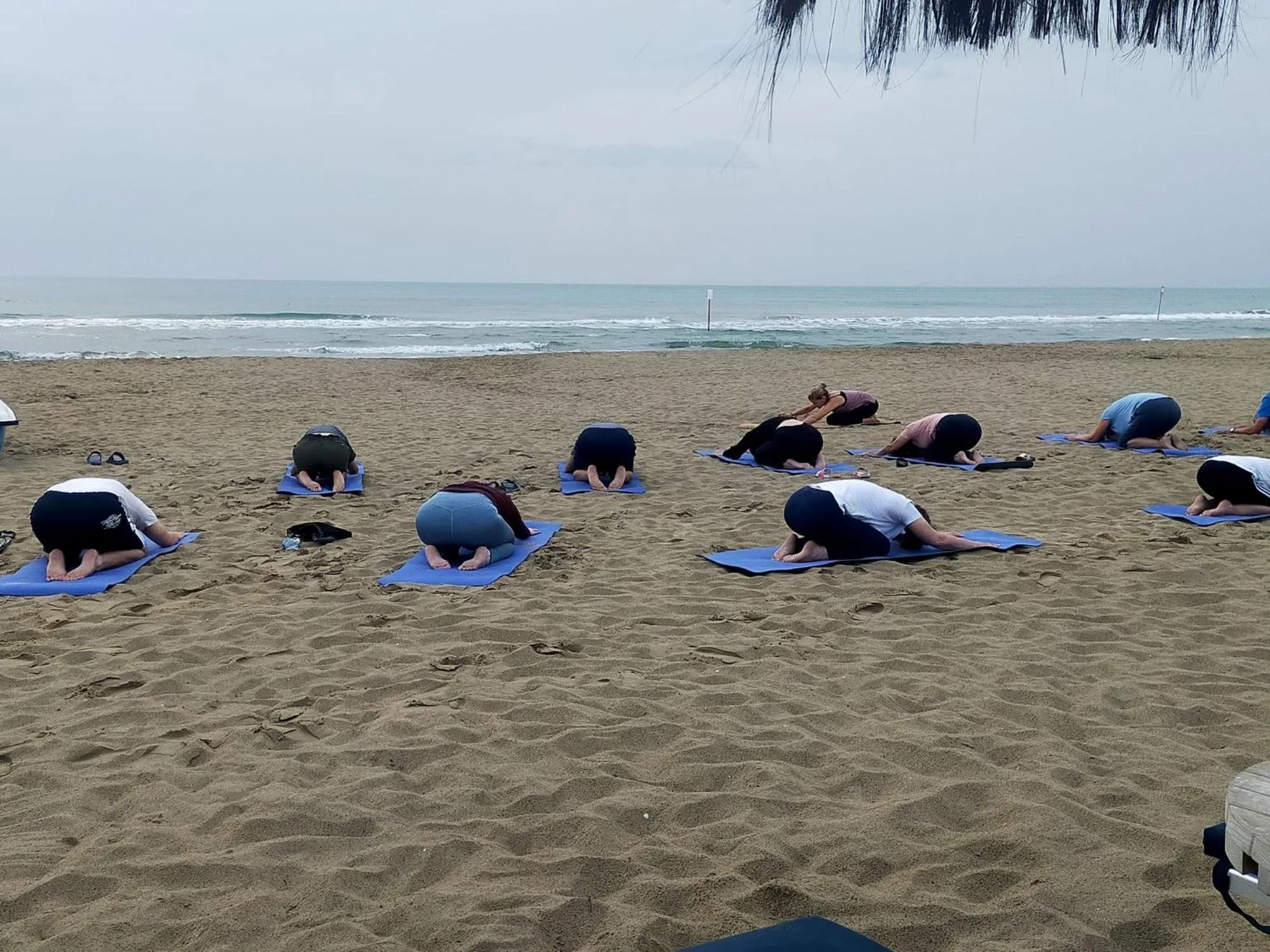 Activities in Zenit Hotel