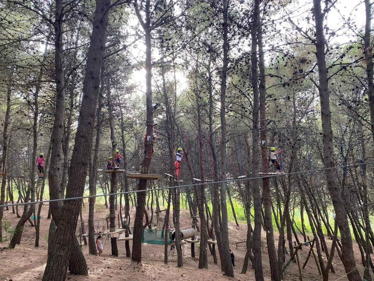 Guests in Zenit Hotel