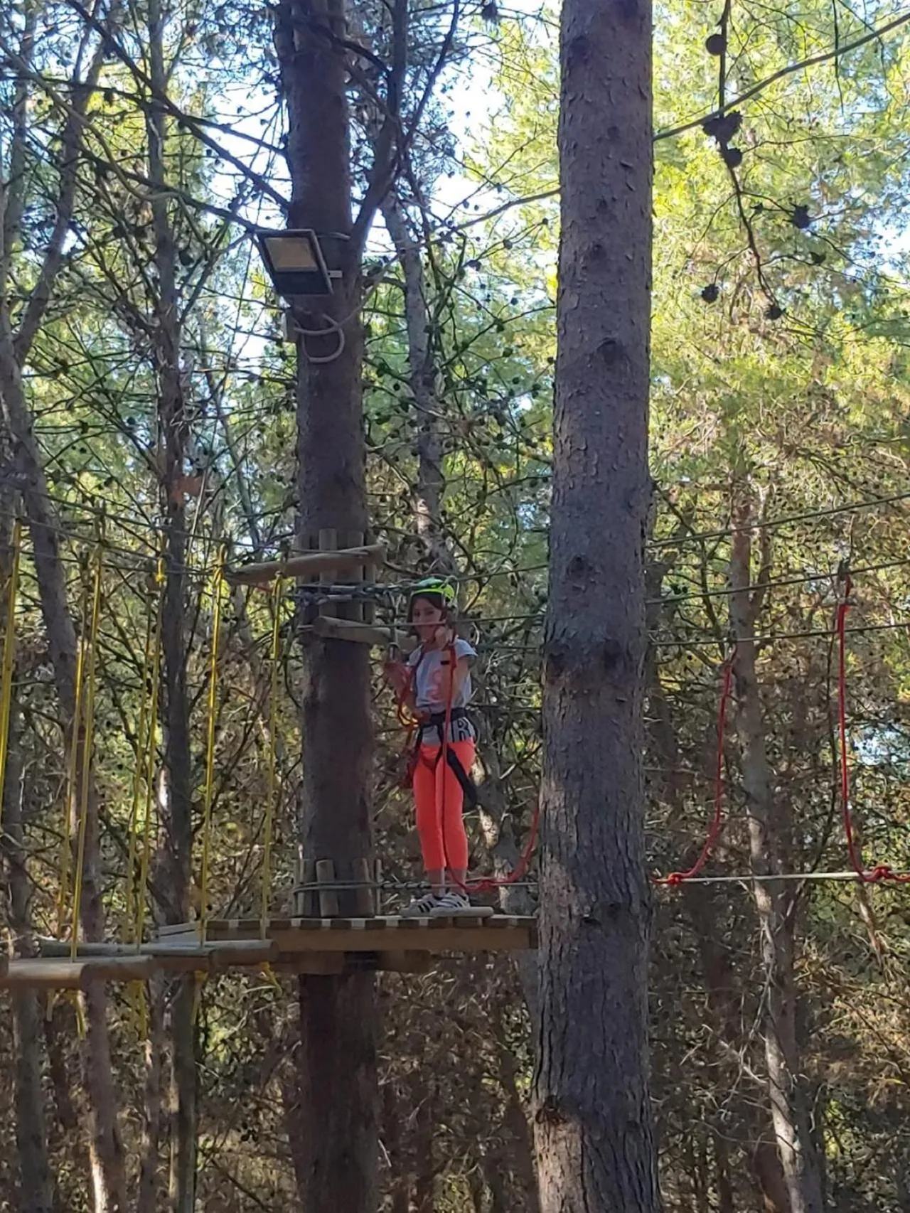 Activities in Zenit Hotel