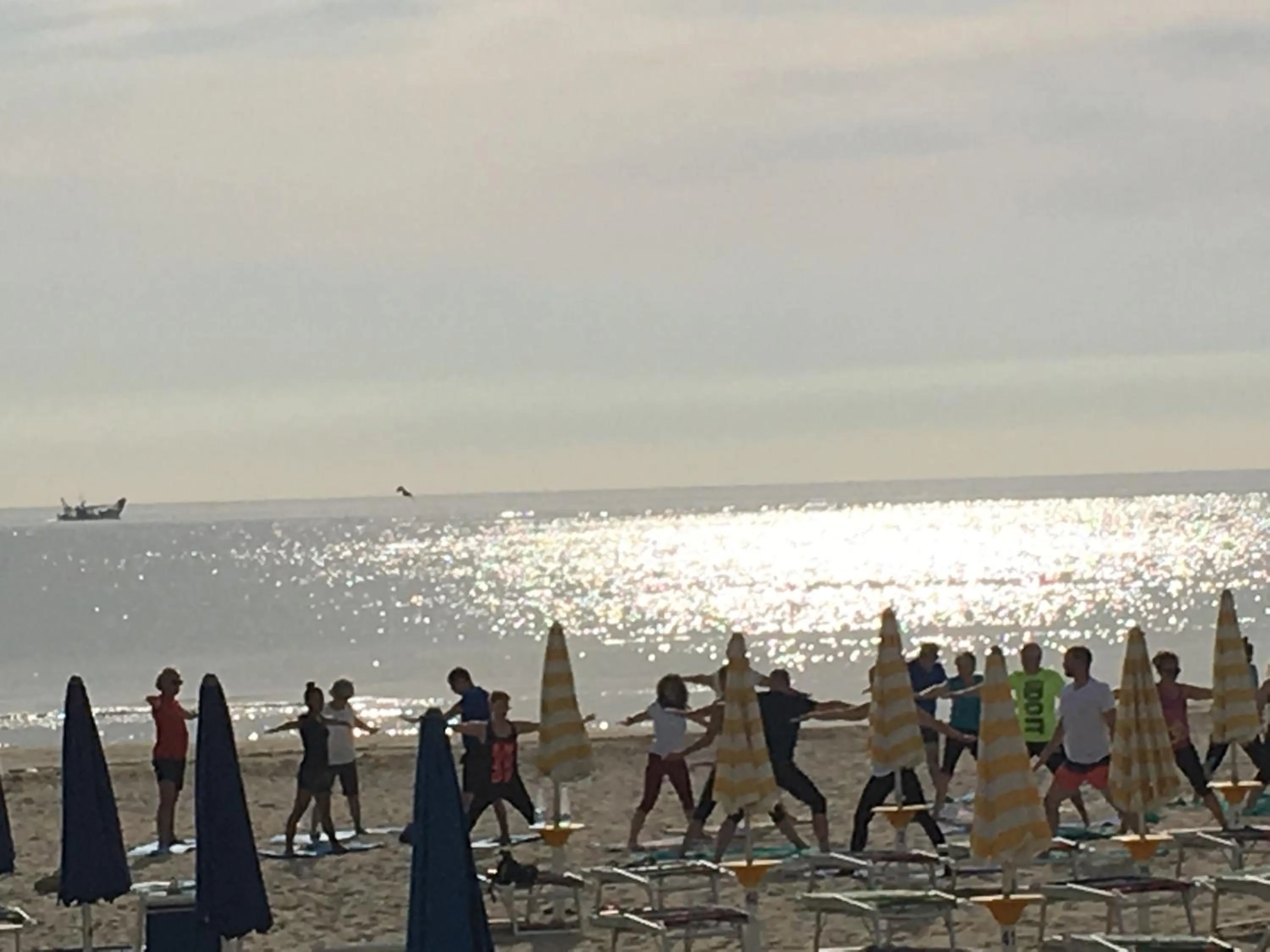 Activities in Zenit Hotel