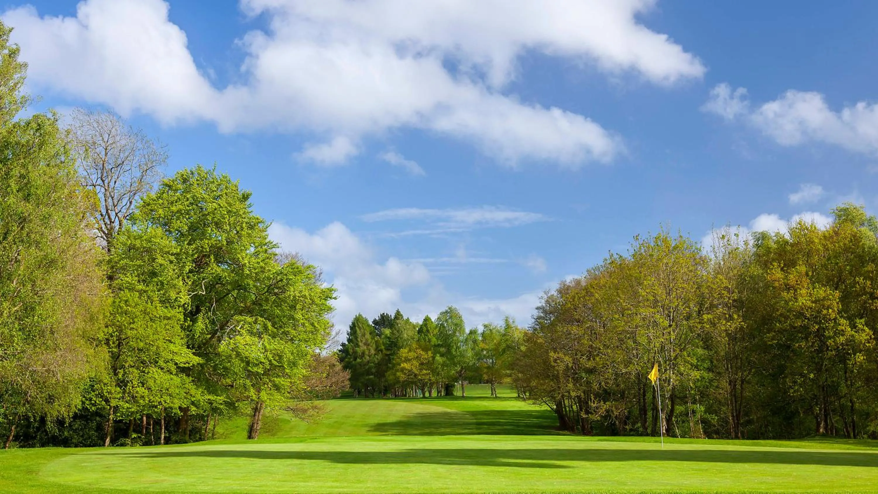 Golfcourse in Meon Valley Hotel, Golf & Country Club