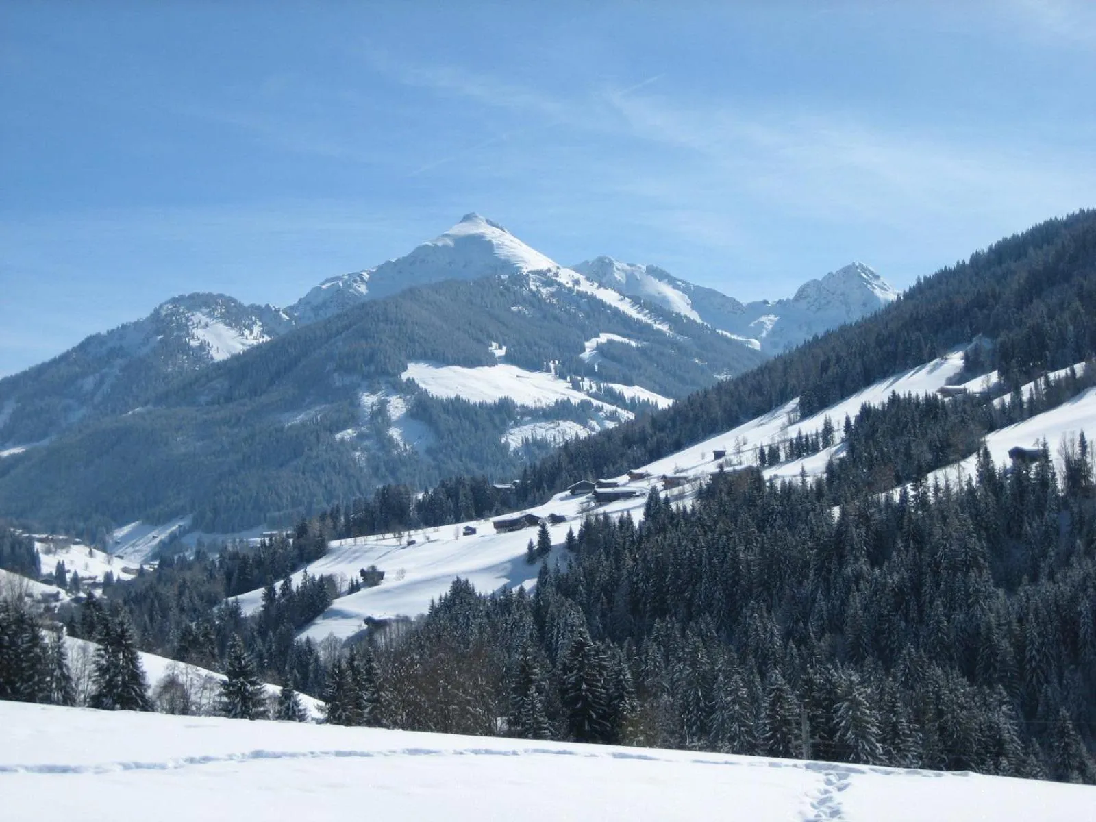 Natural landscape in Hotel Andreas