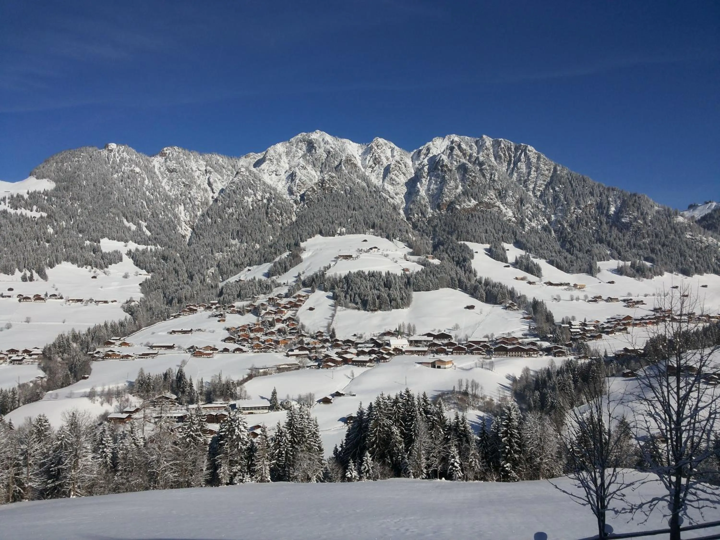 Natural landscape in Hotel Andreas