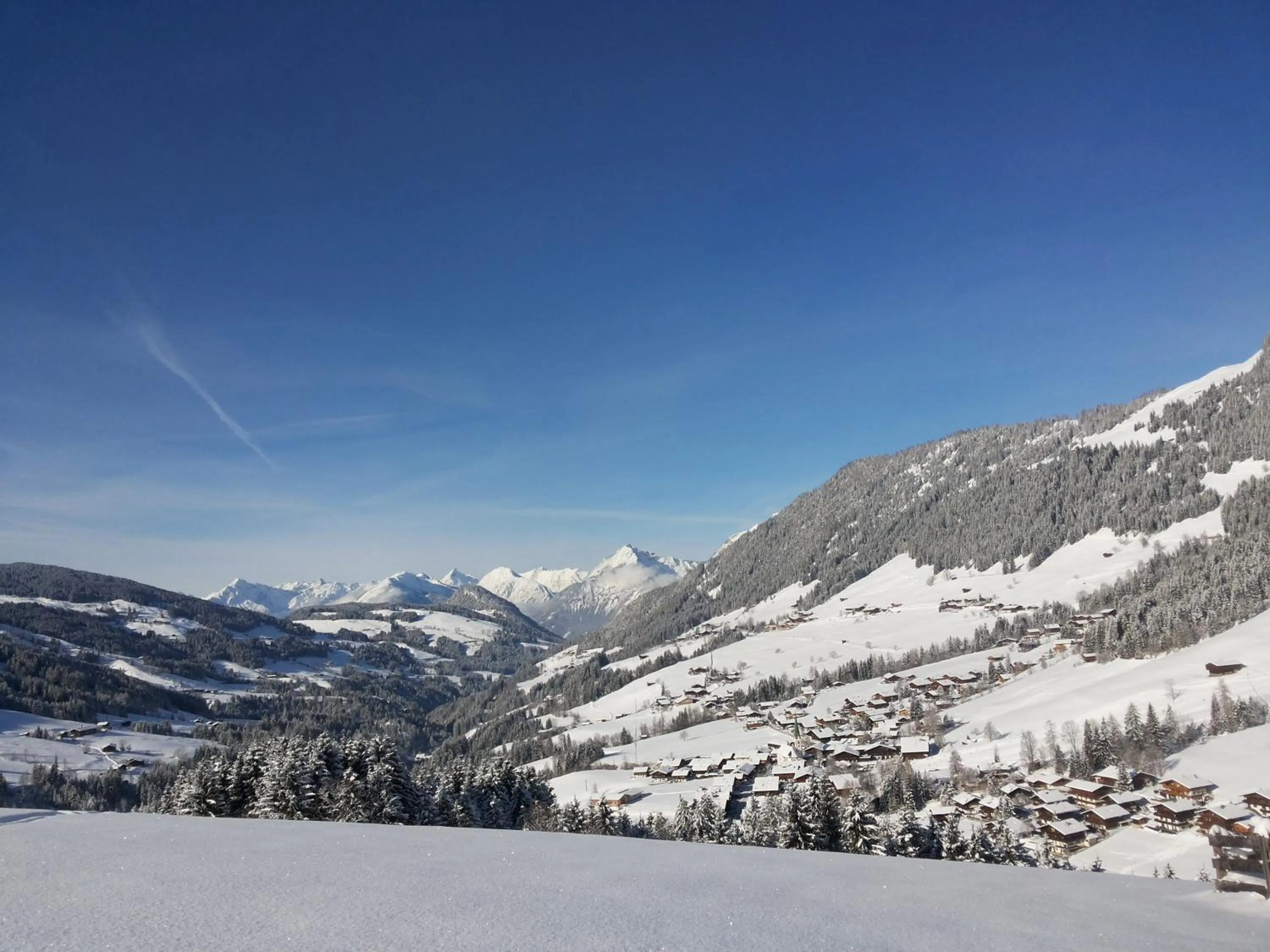 Natural landscape in Hotel Andreas