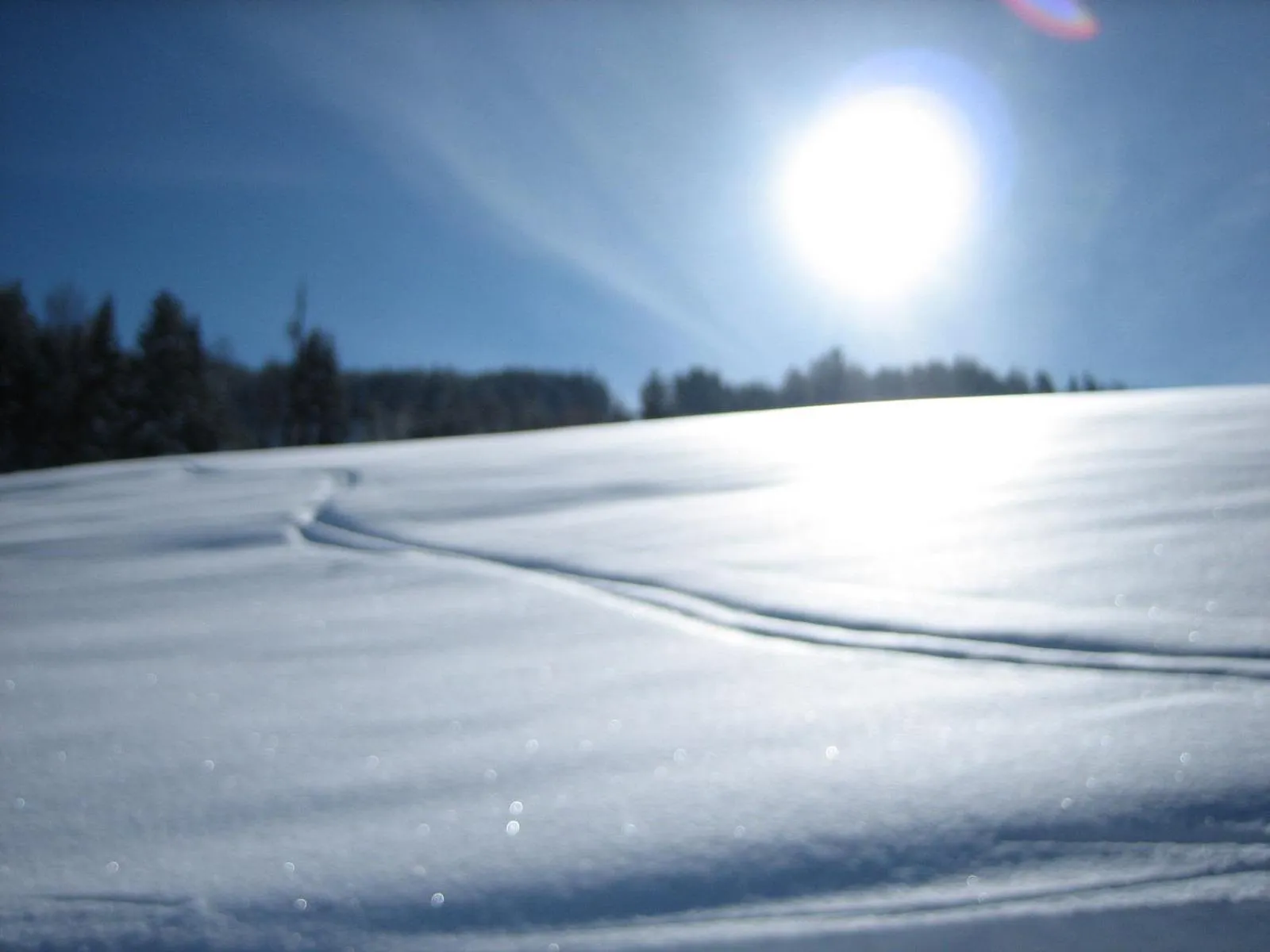 Natural landscape in Hotel Andreas