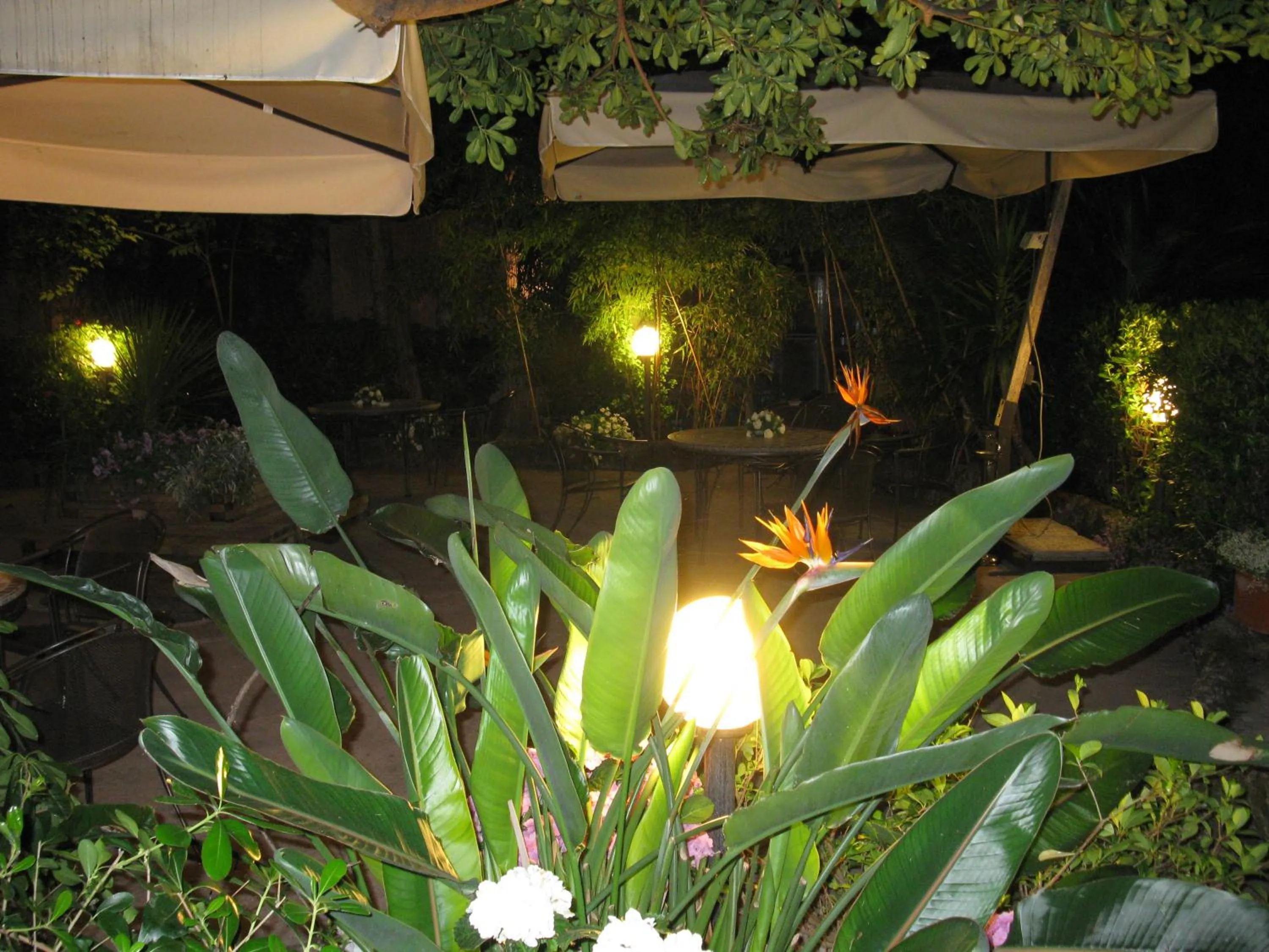 Garden in Hotel Miramare