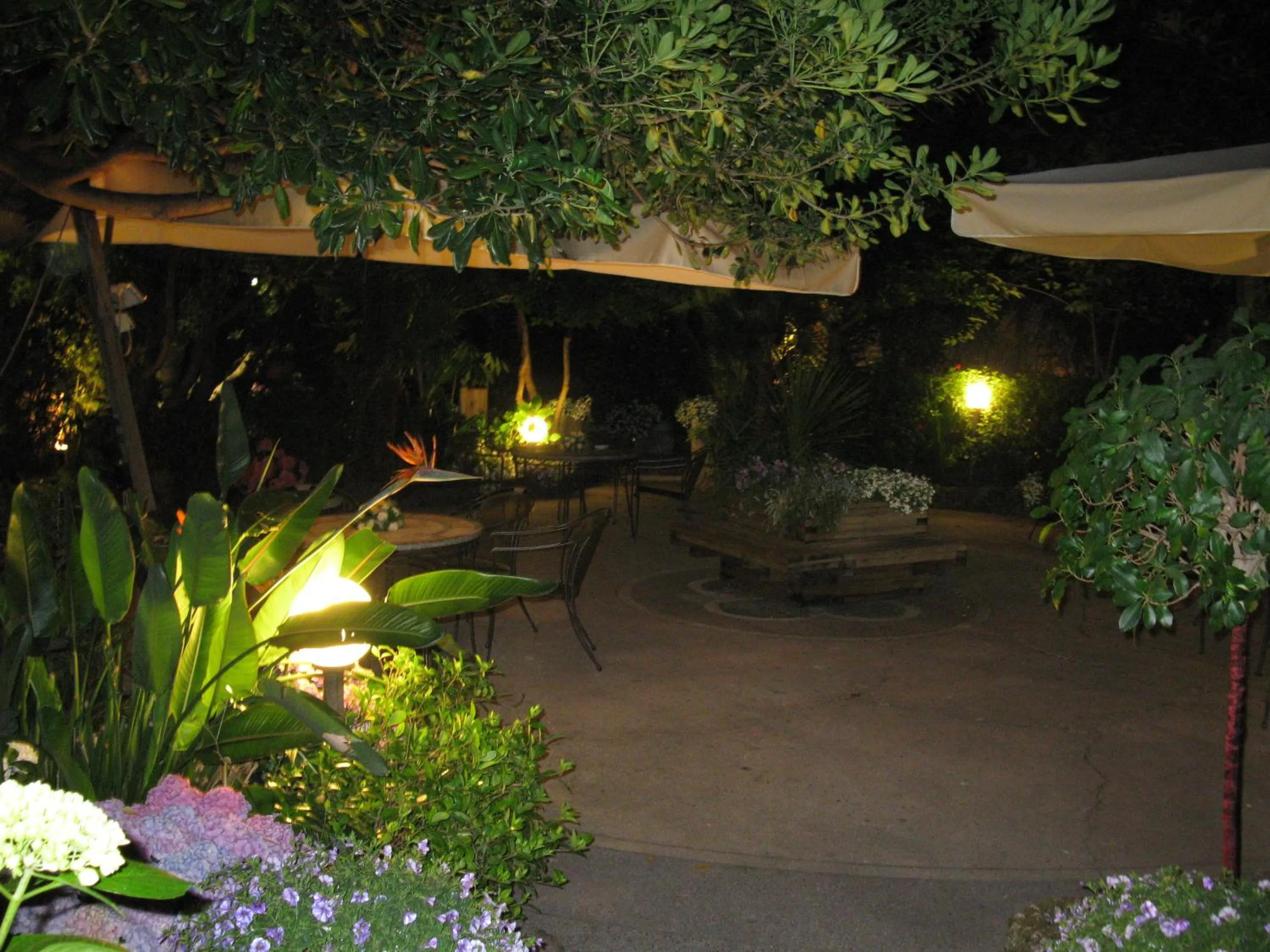 Garden in Hotel Miramare