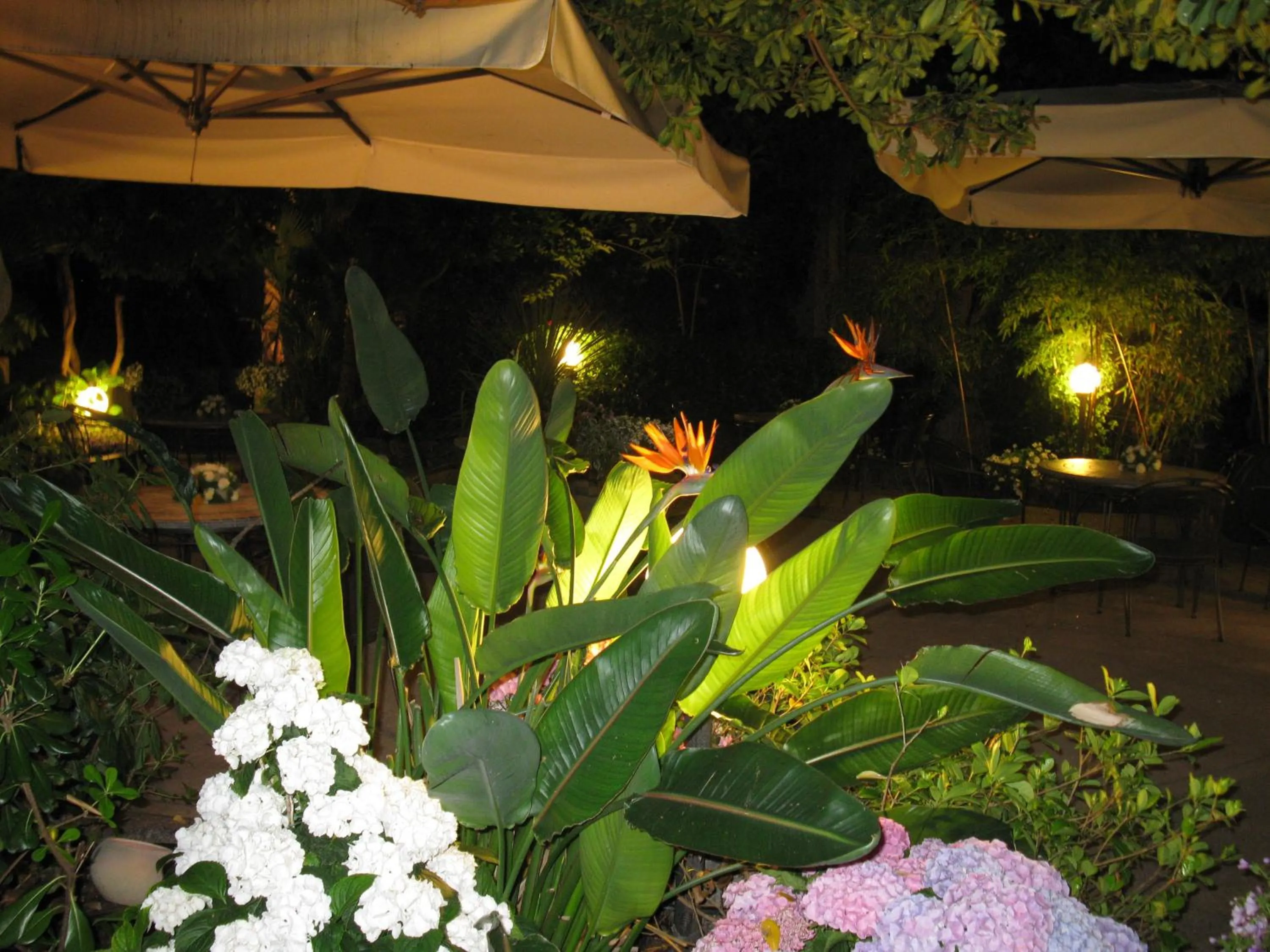 Garden in Hotel Miramare