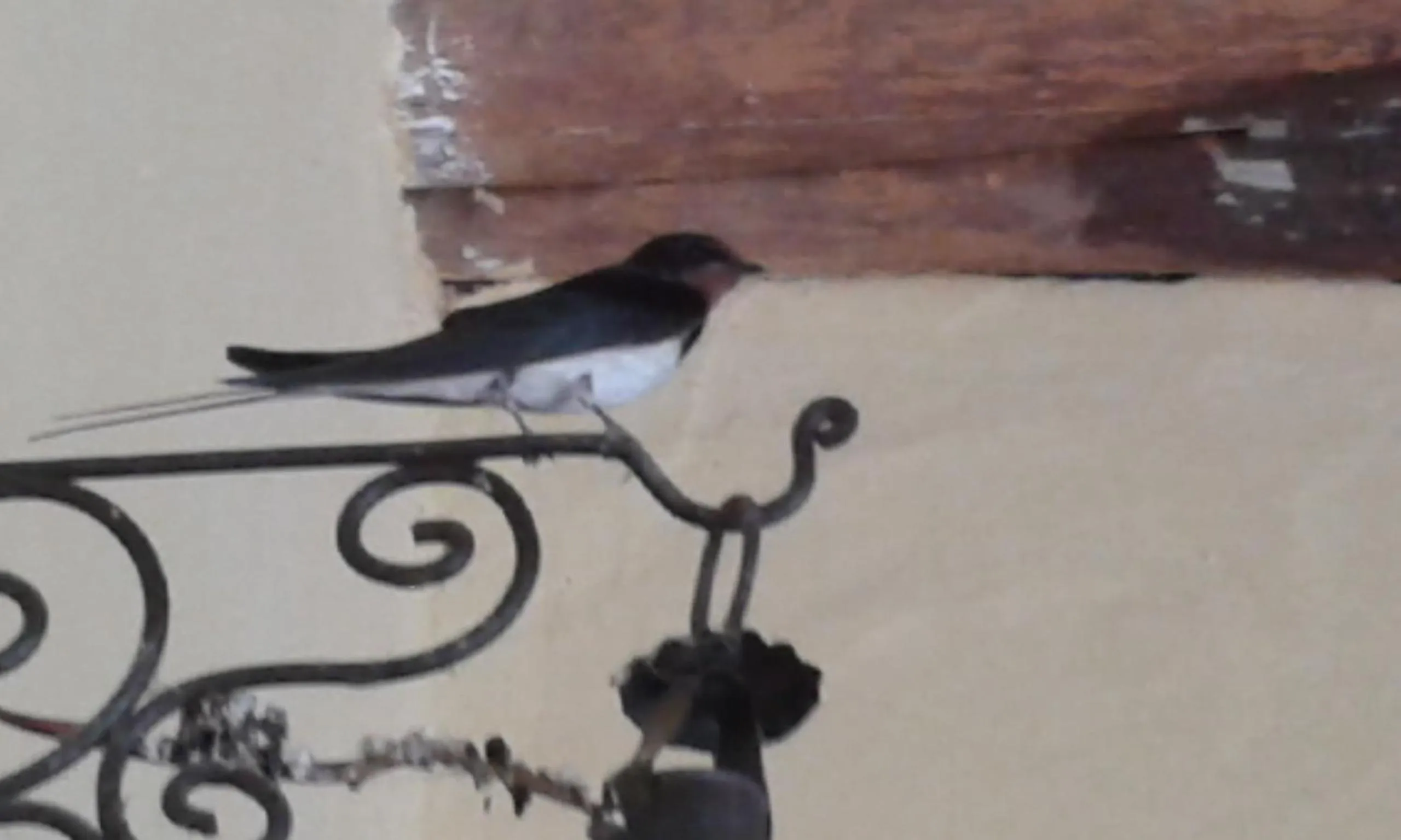 Other in Riad Cascades d'Ouzoud